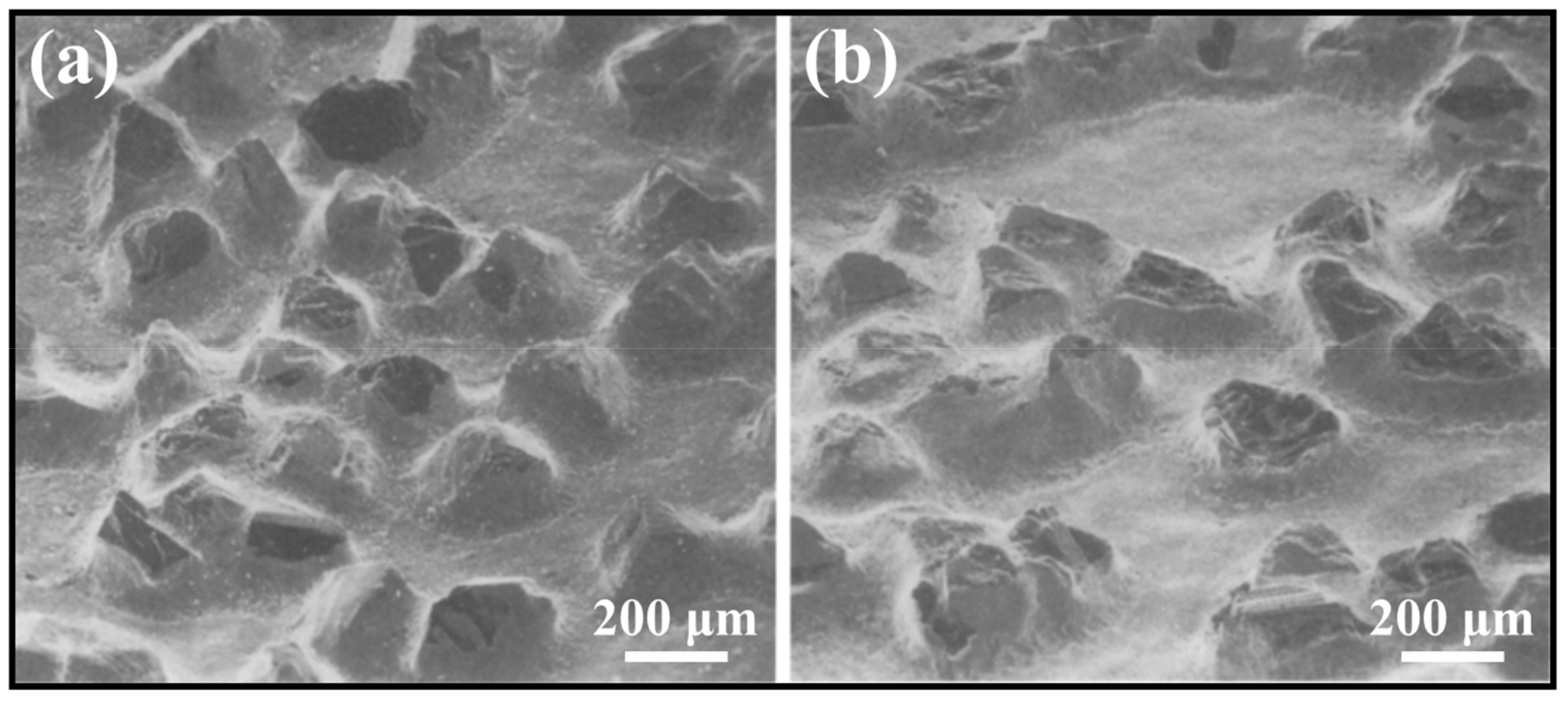 Coatings 13 00565 g016