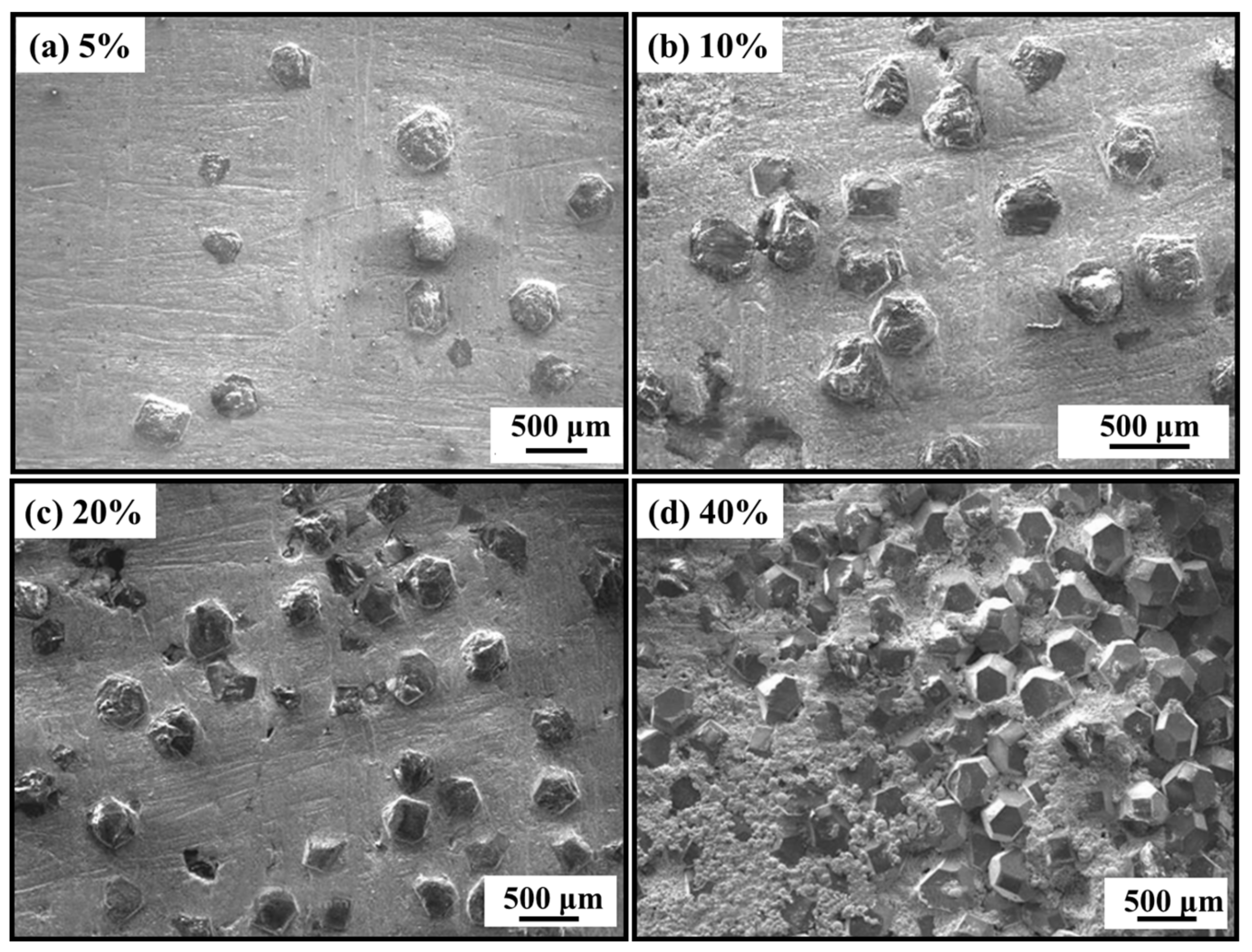 Coatings 13 00565 g019