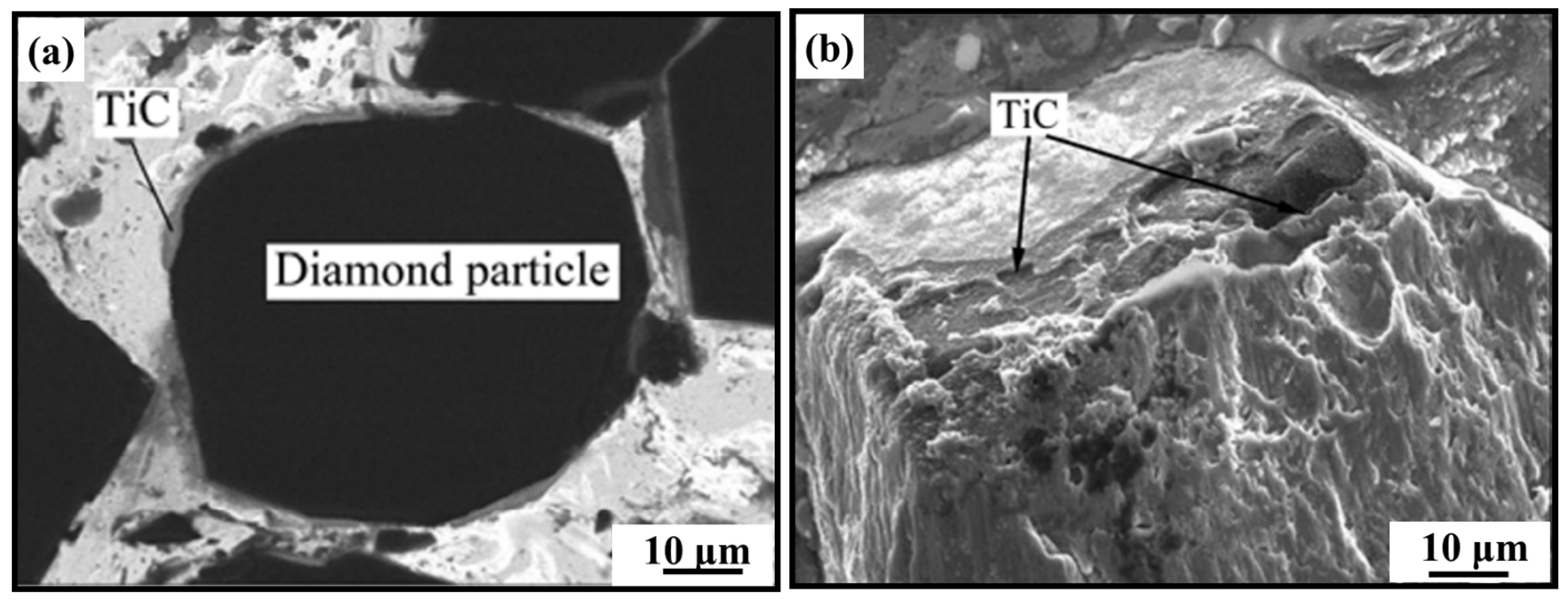 Coatings 13 00565 g024