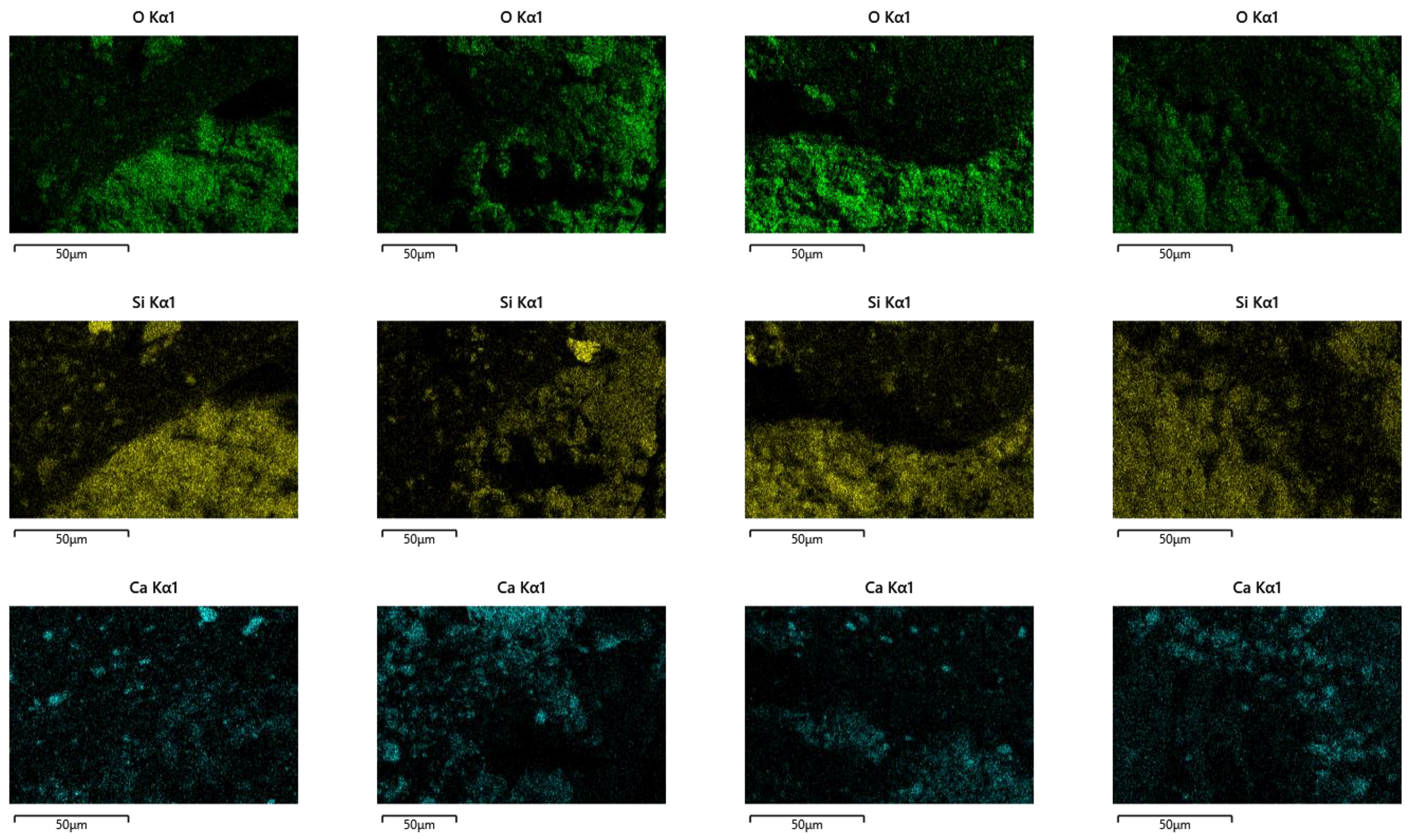 Coatings 13 00566 g009b