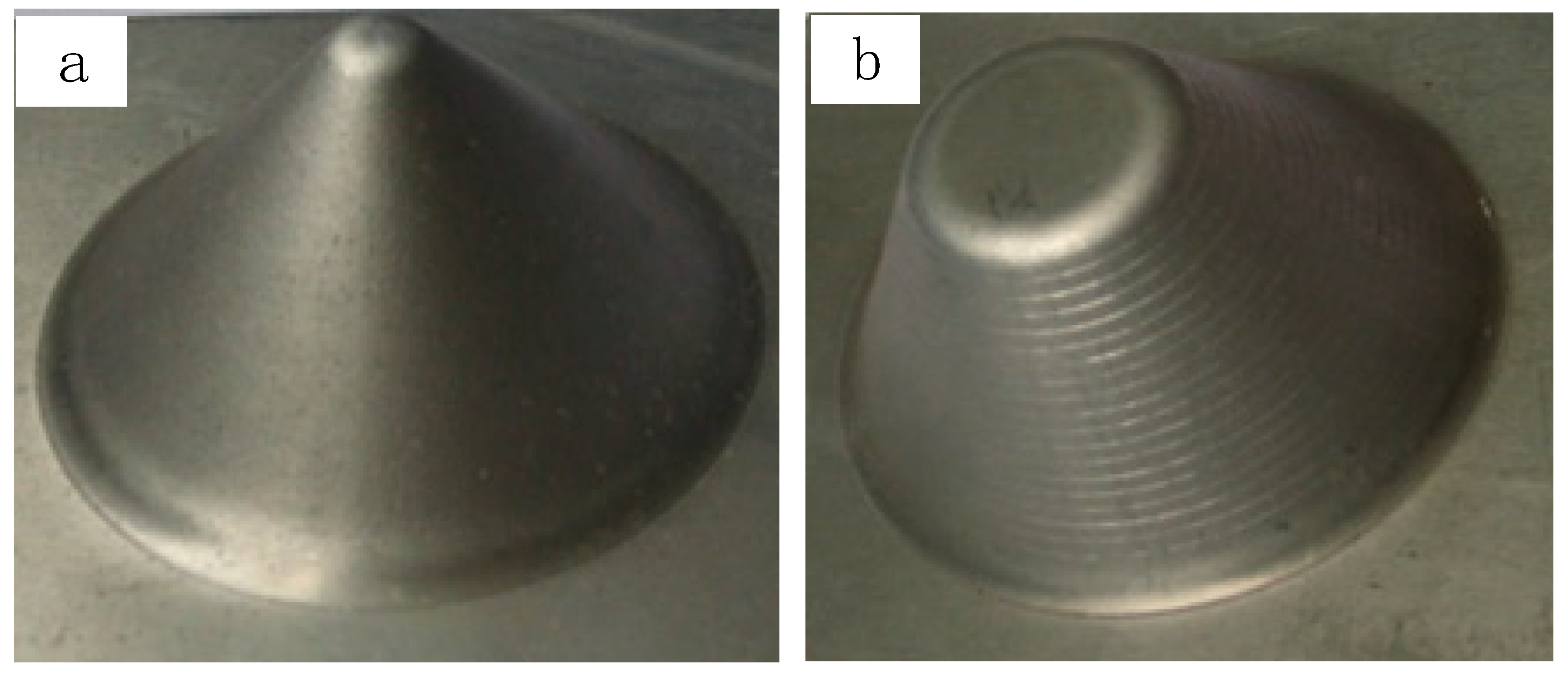 Coatings 13 00571 g006