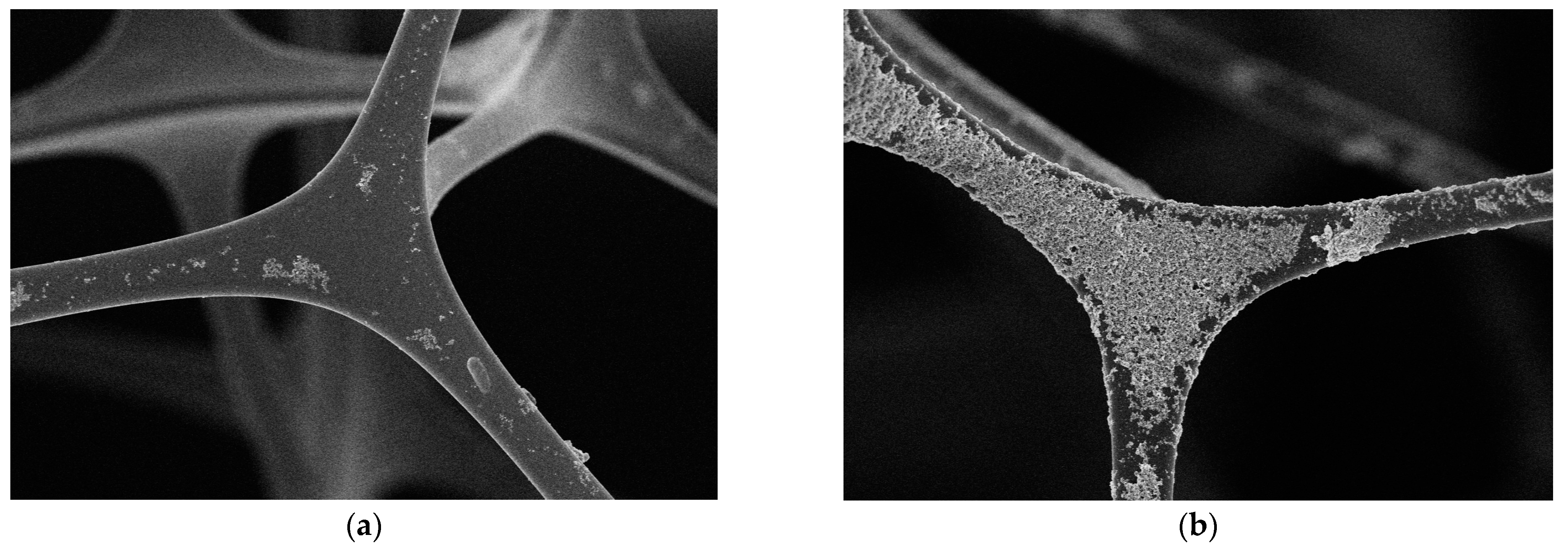 Coatings 13 00573 g003 Coatings 13 00573 g003