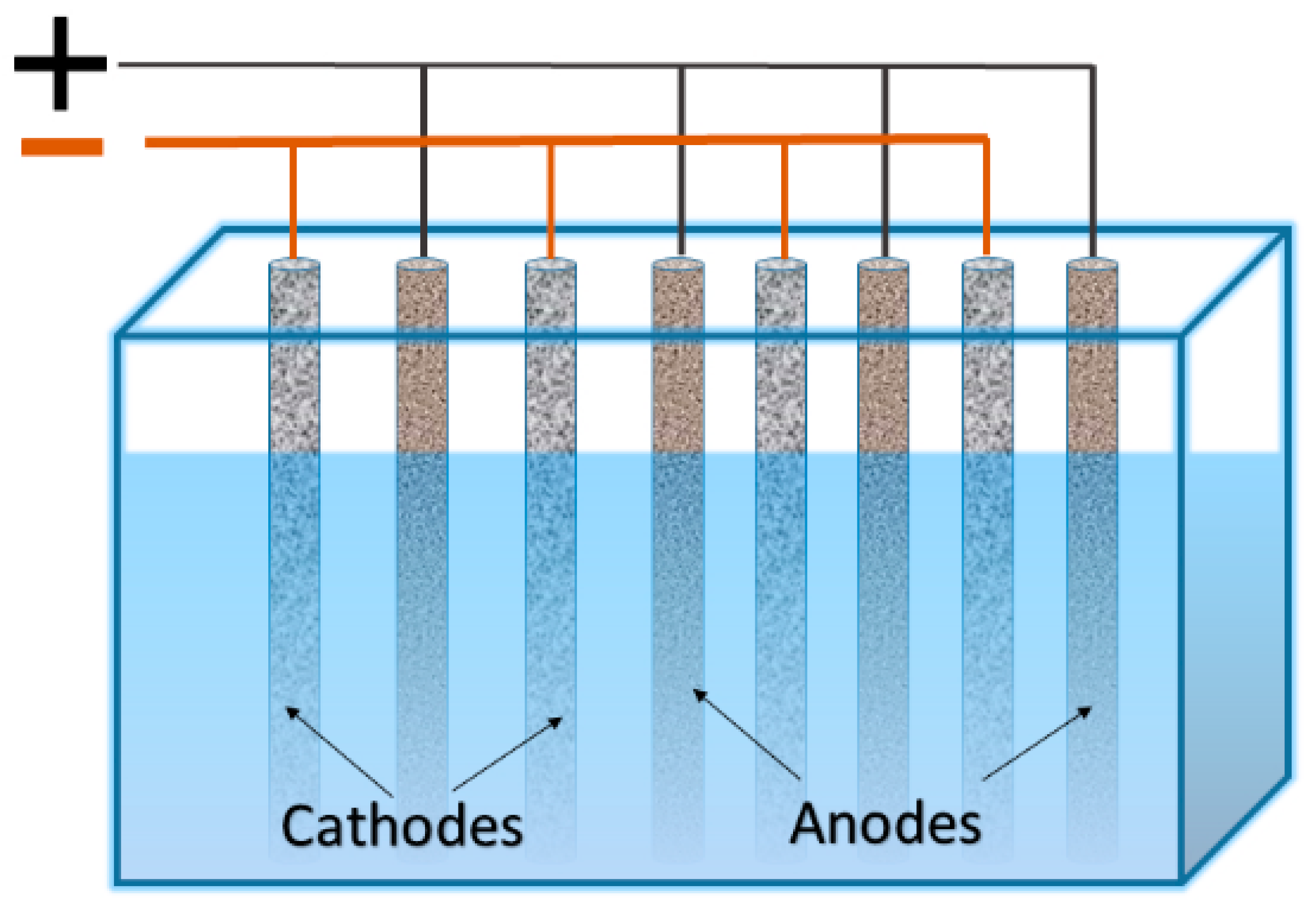 Coatings 13 00574 g001