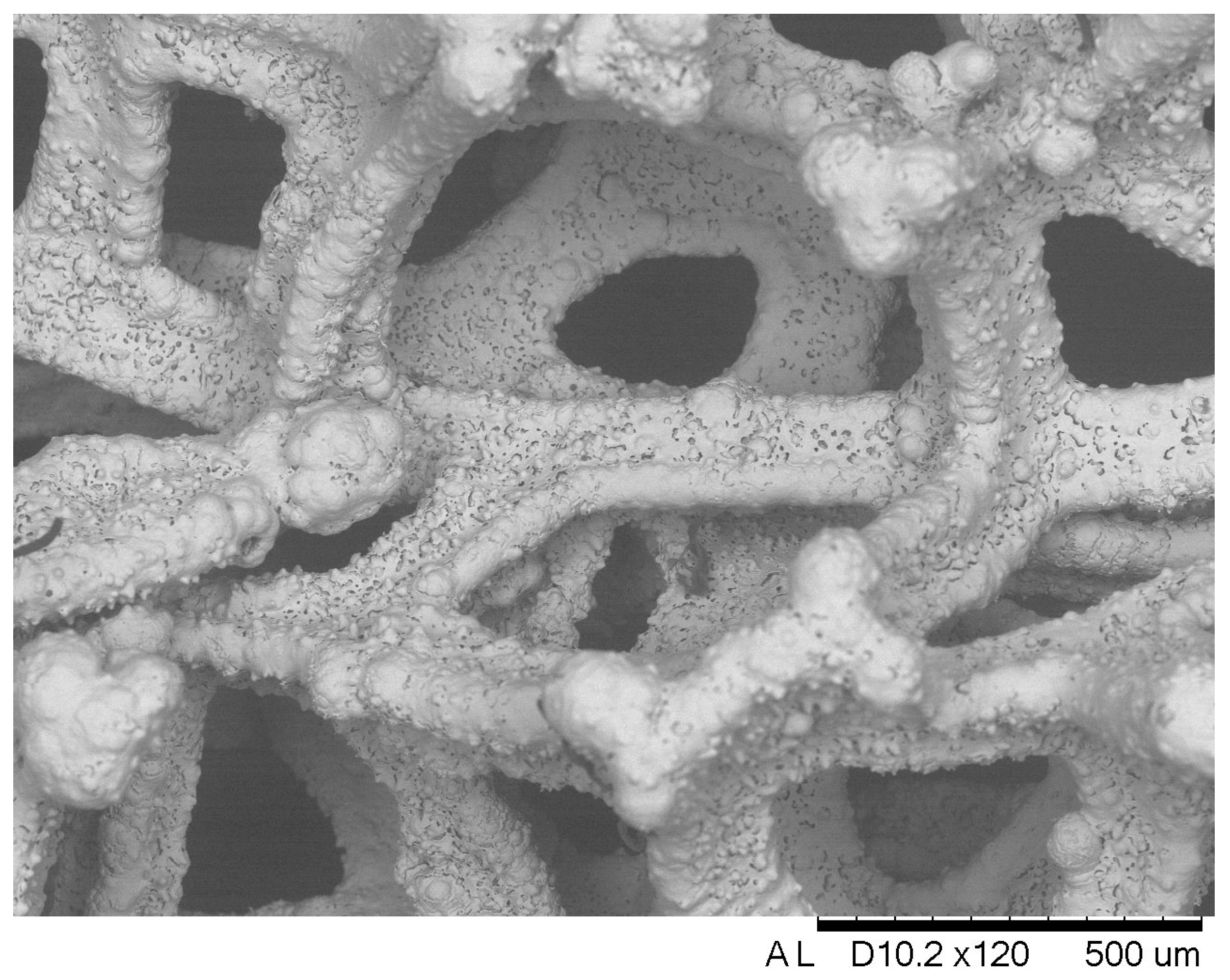 Coatings 13 00574 g002