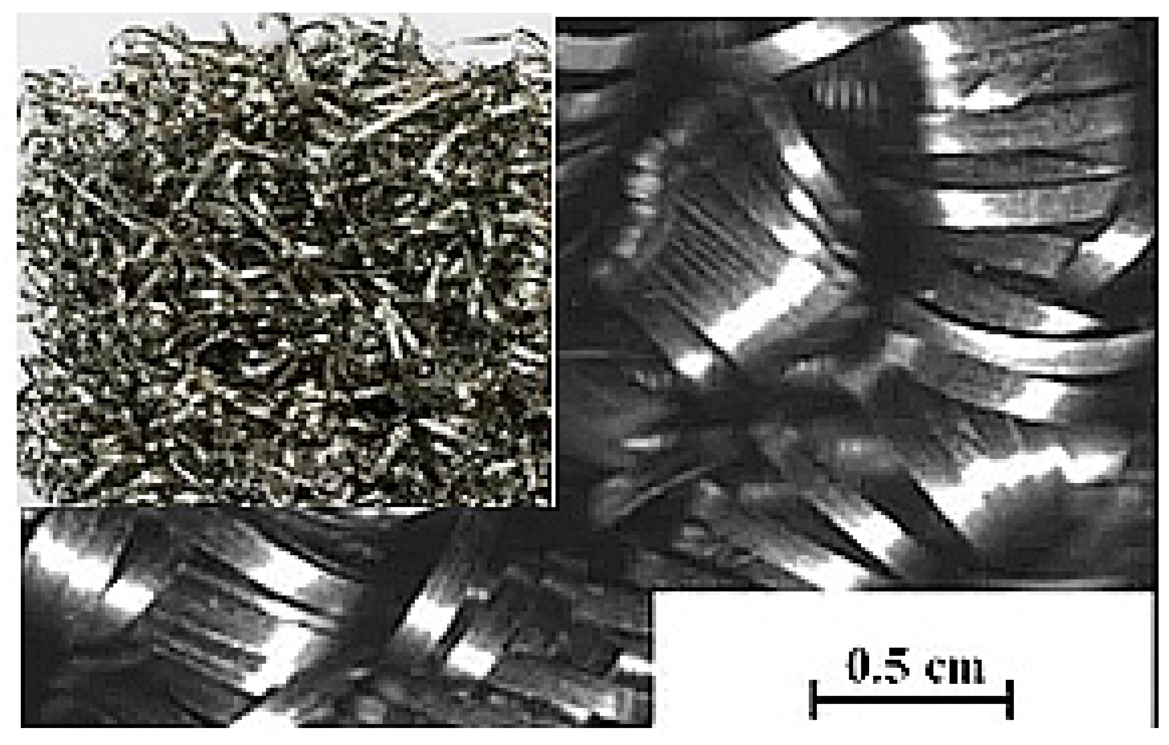 Coatings 13 00574 g003