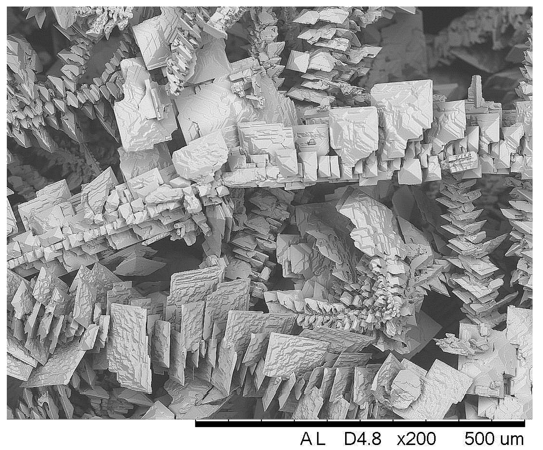 Coatings 13 00574 g006