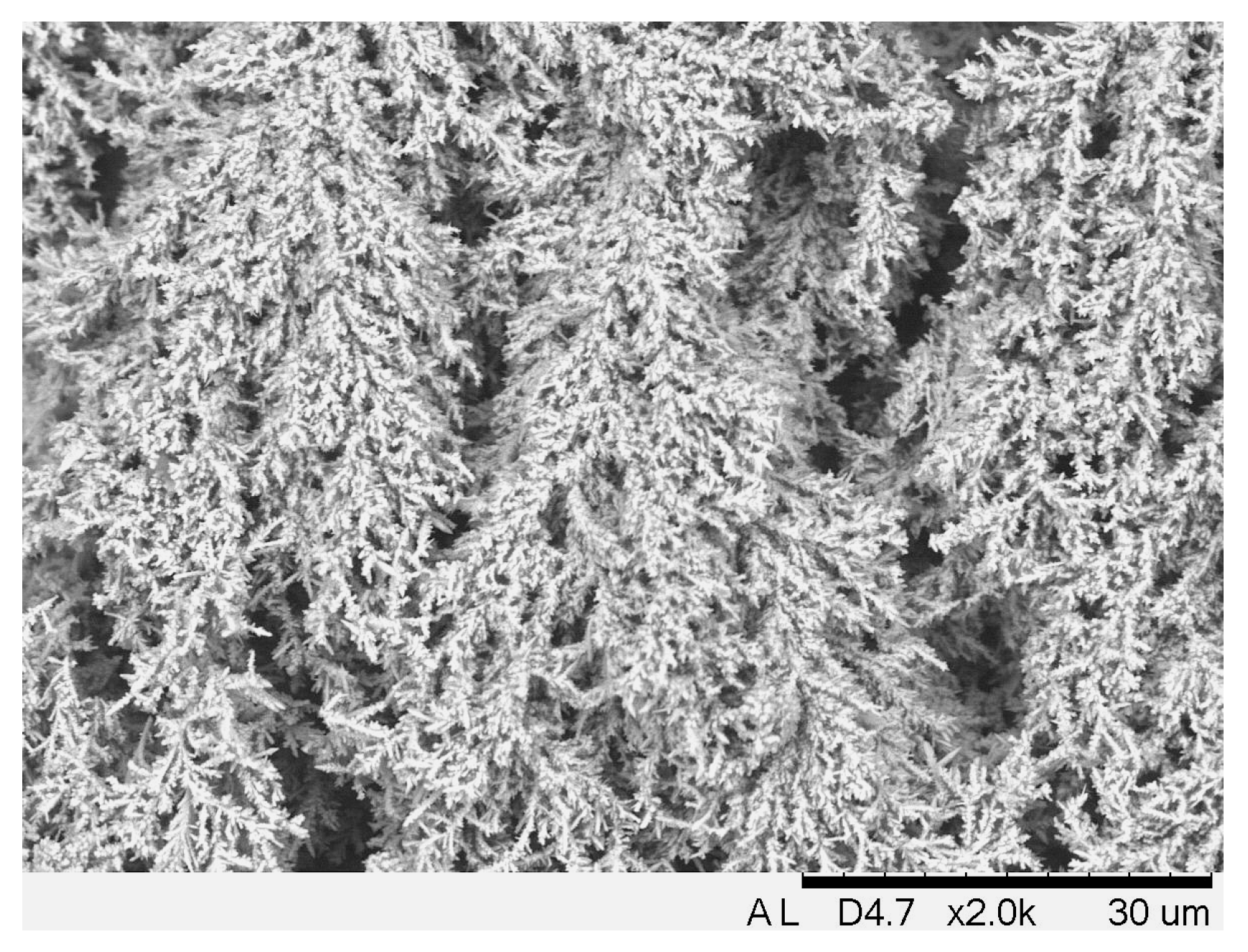 Coatings 13 00574 g009