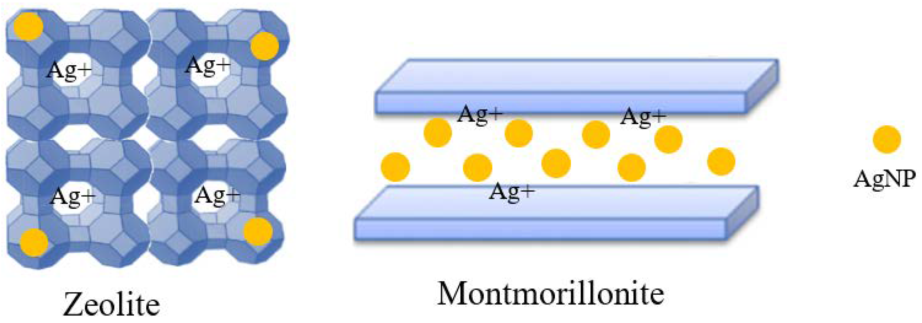 Coatings 13 00575 g001