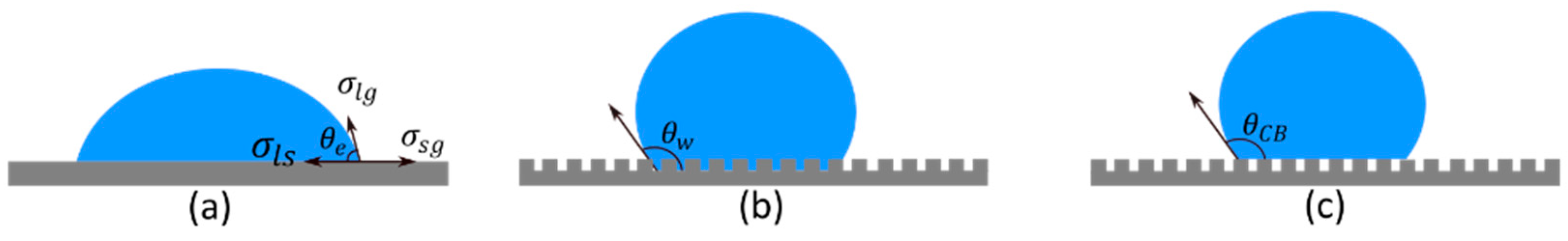Coatings 13 00577 g002