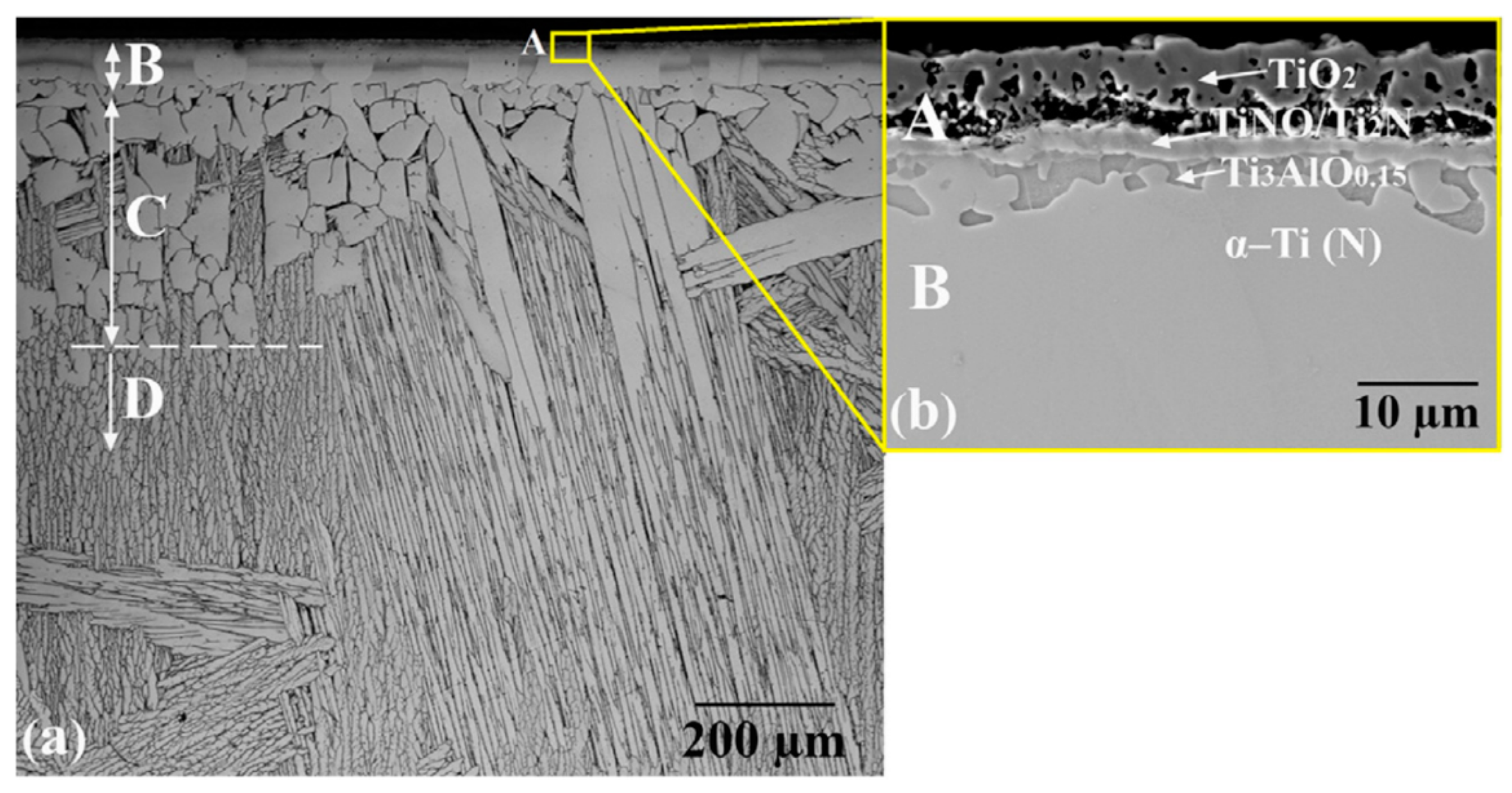 Coatings 13 00577 g009