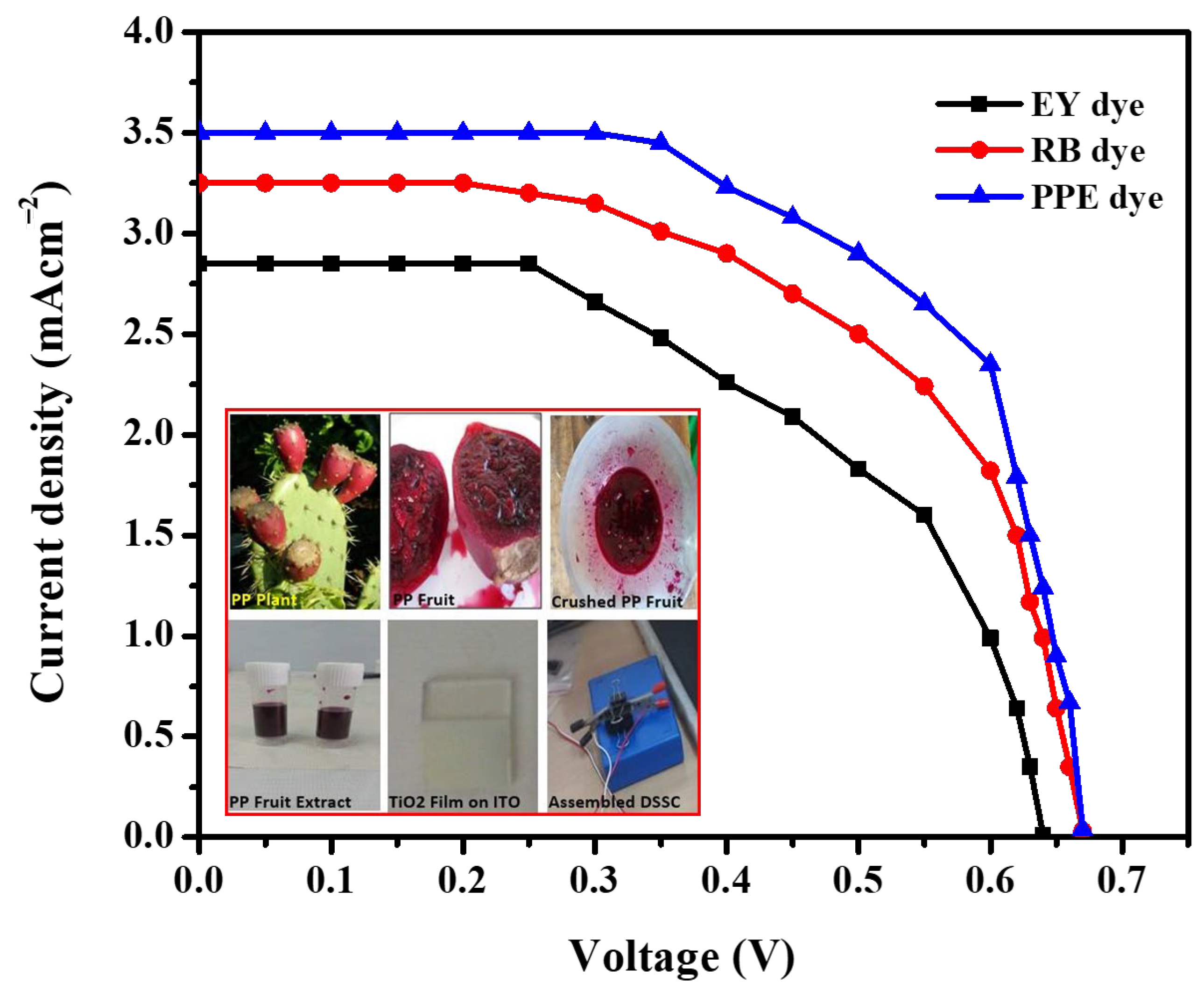 Coatings 13 00579 g009