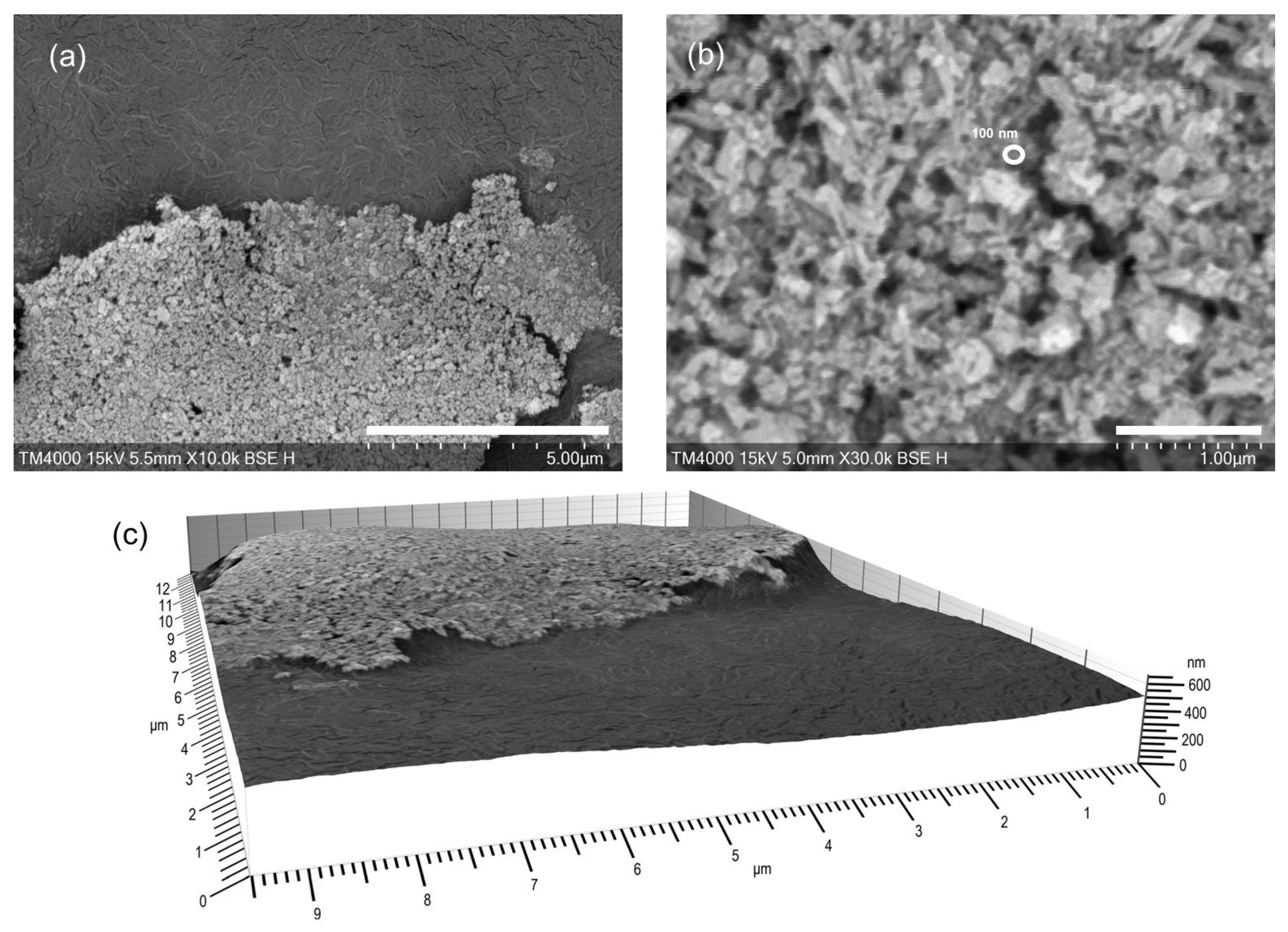 Coatings 13 00580 g002 Coatings 13 00580 g002