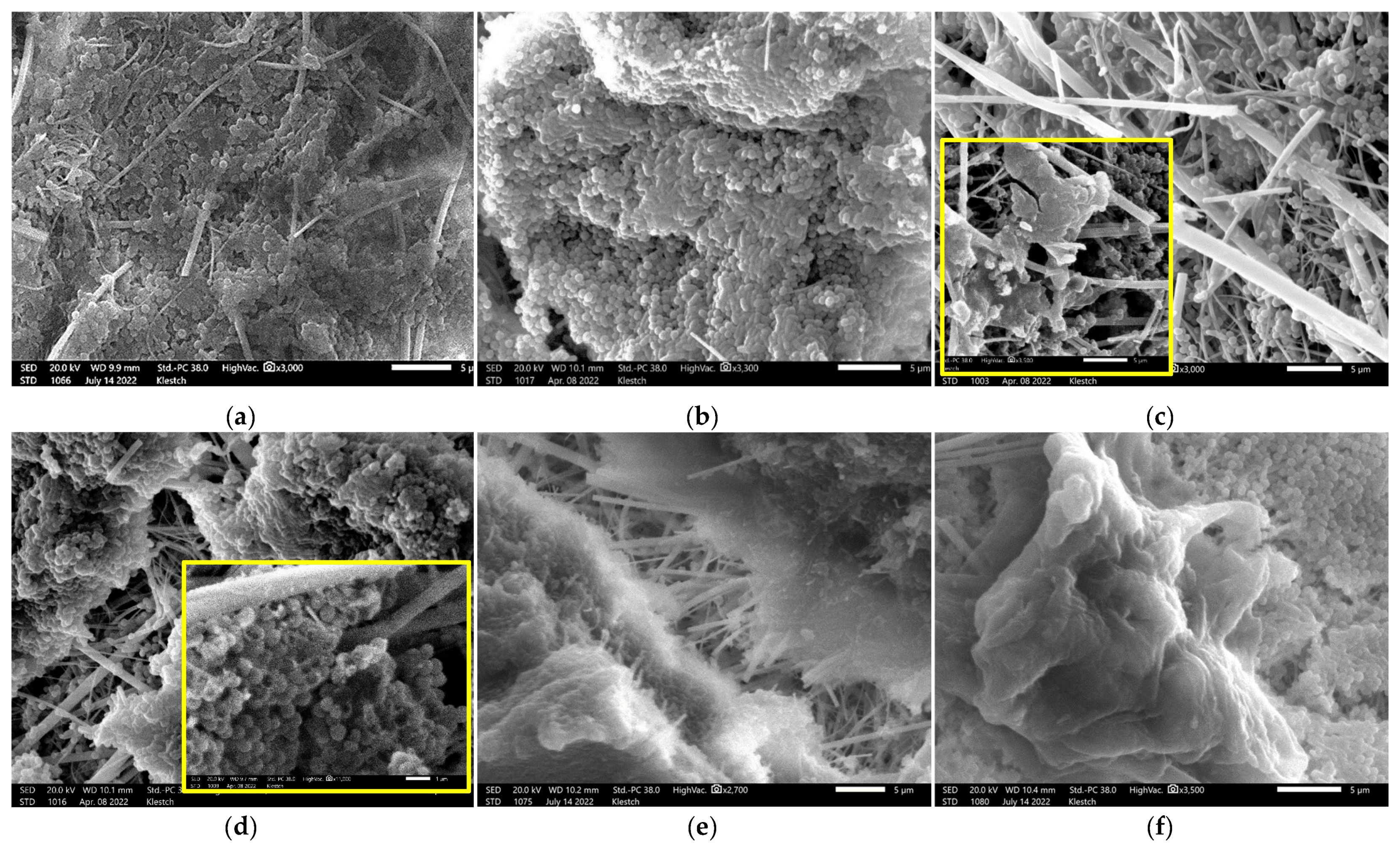 Coatings 13 00582 g005