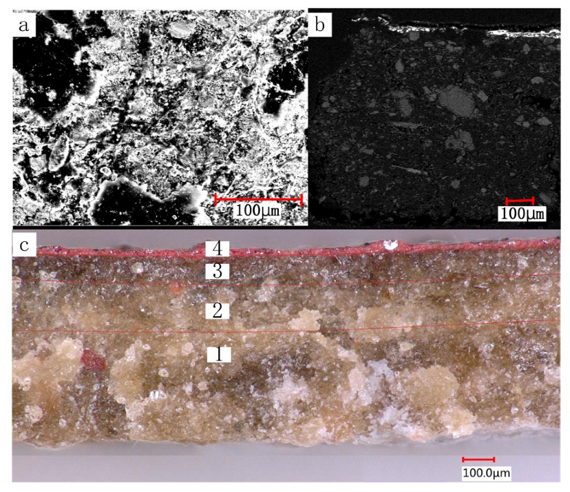 Coatings 13 00583 g002