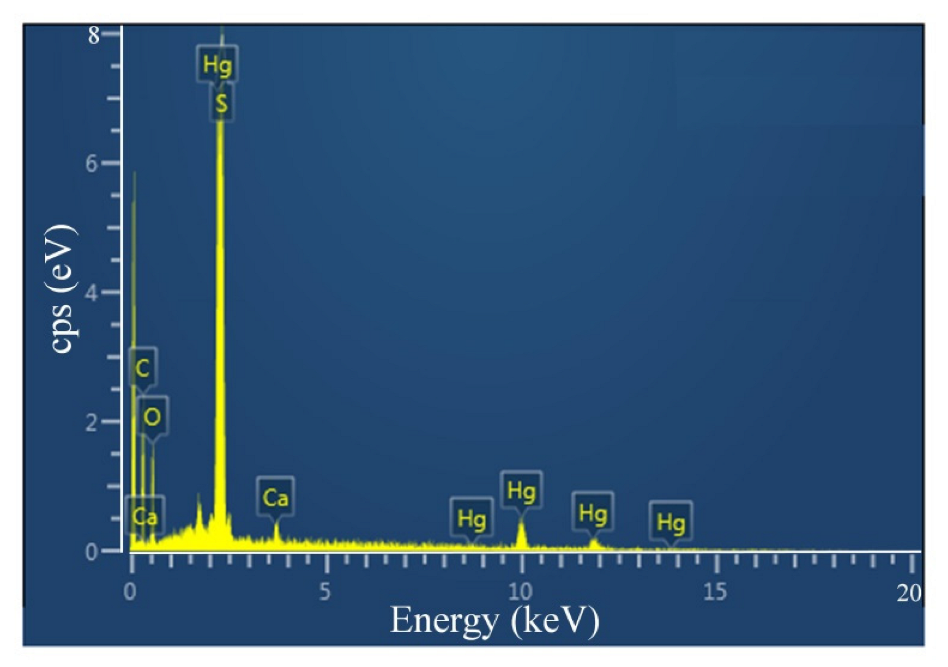 Coatings 13 00583 g003