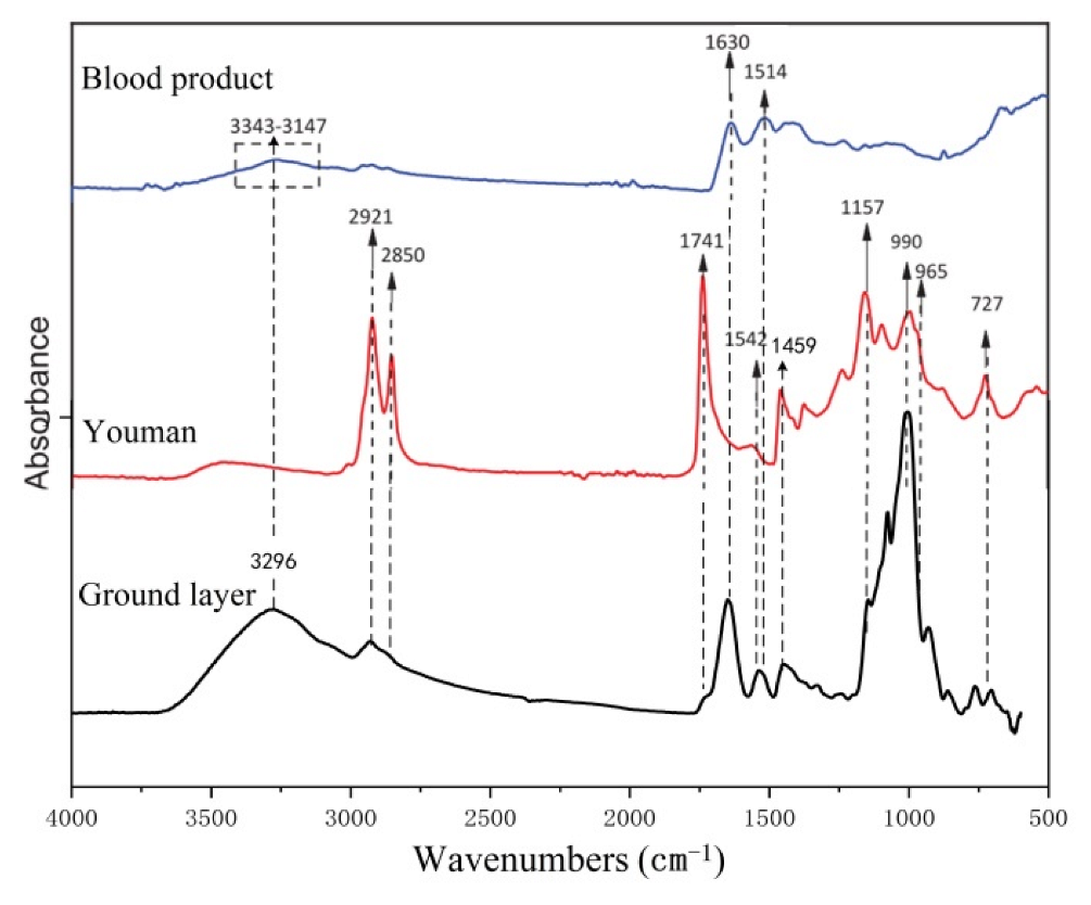 Coatings 13 00583 g007