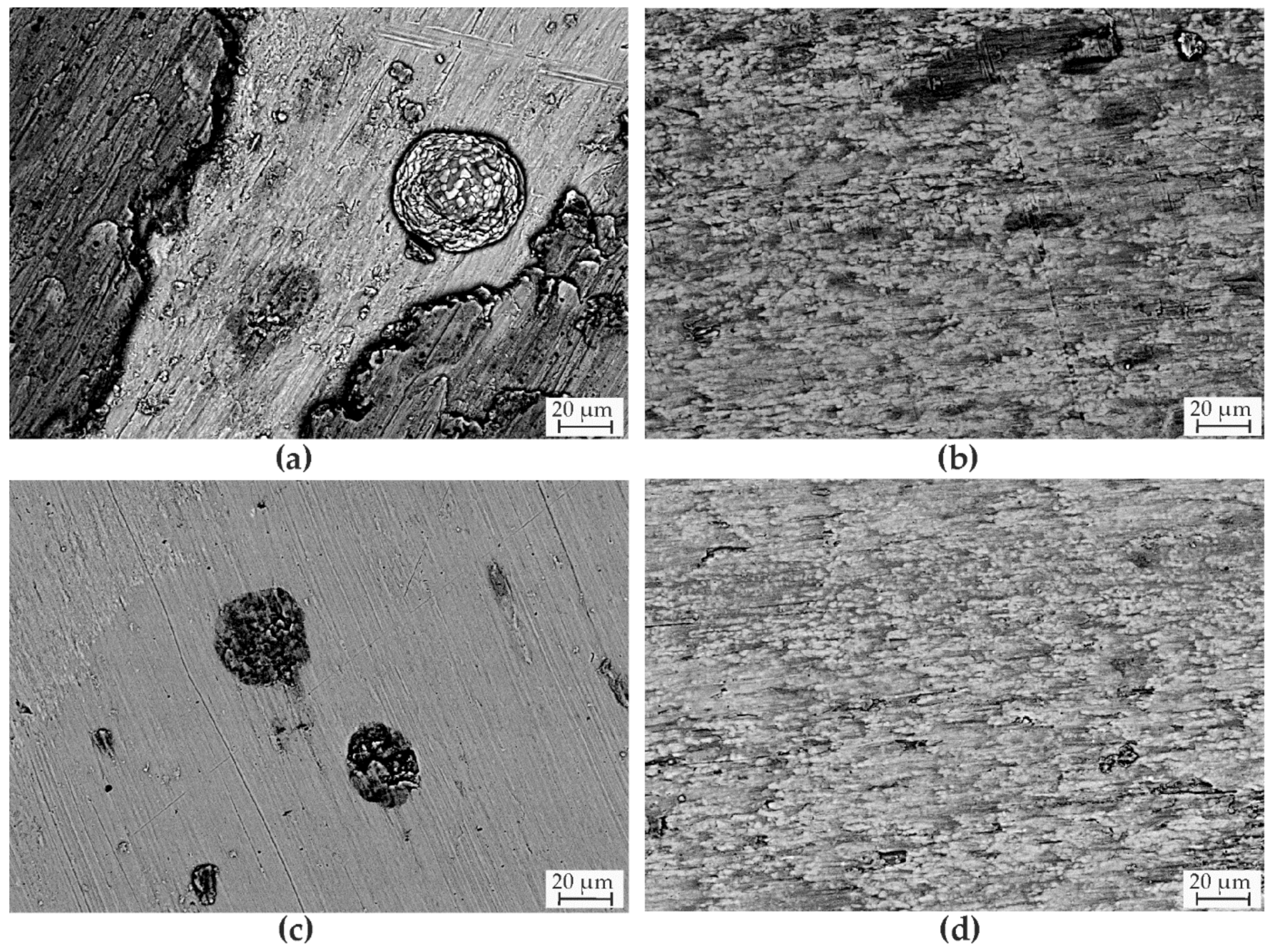 Coatings 13 00585 g006