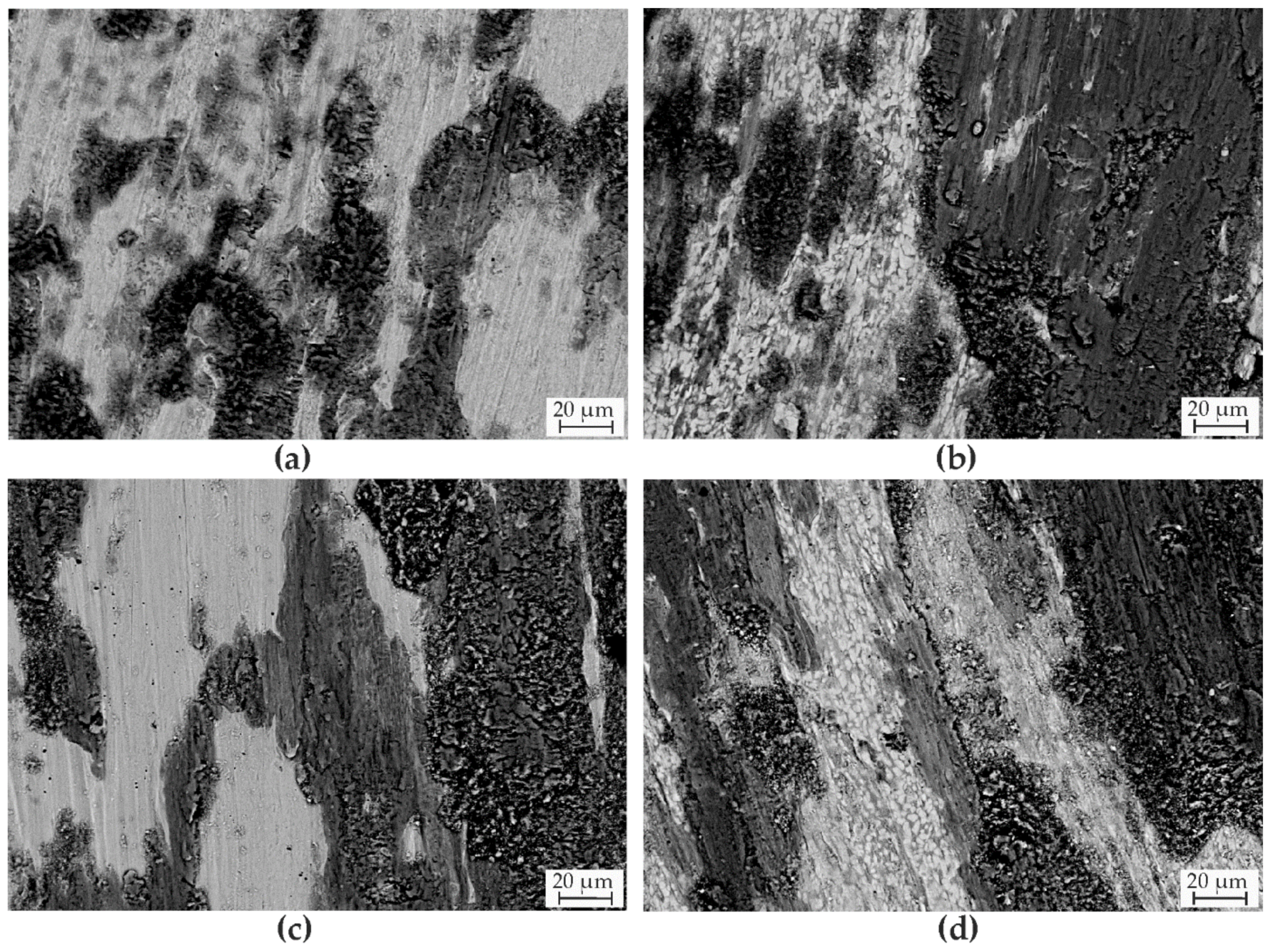 Coatings 13 00585 g008