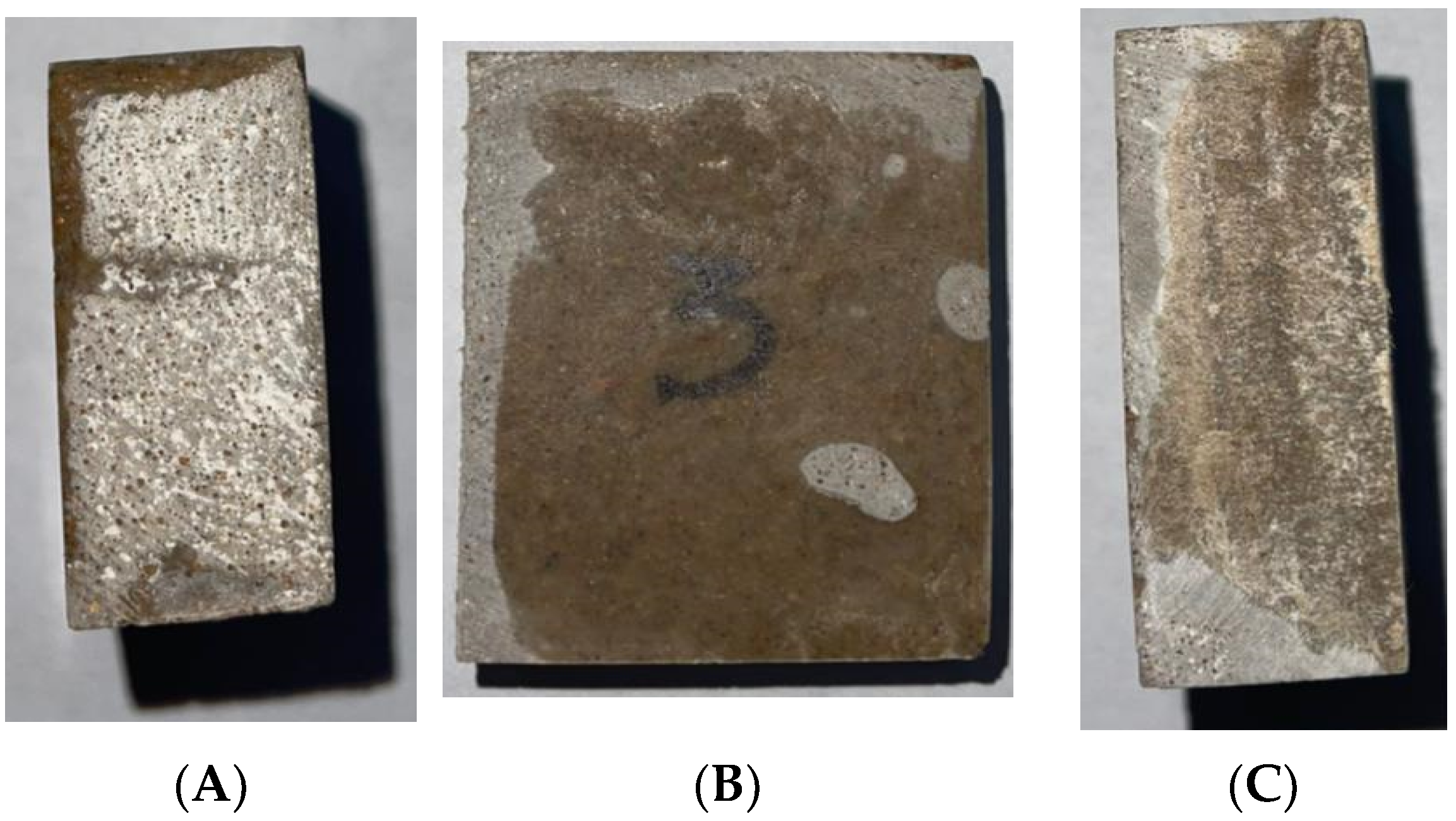 Coatings 13 00586 g001