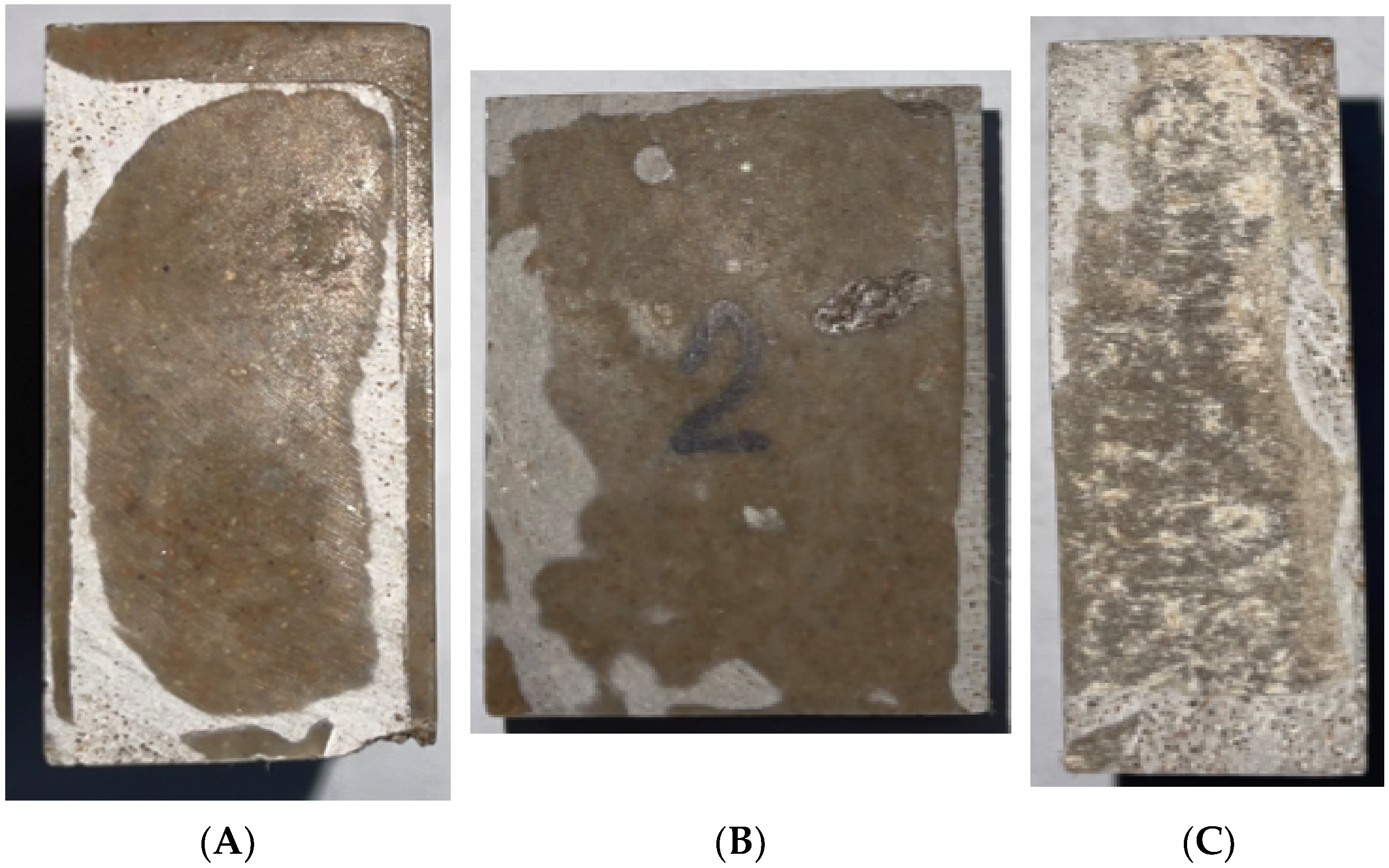 Coatings 13 00586 g002