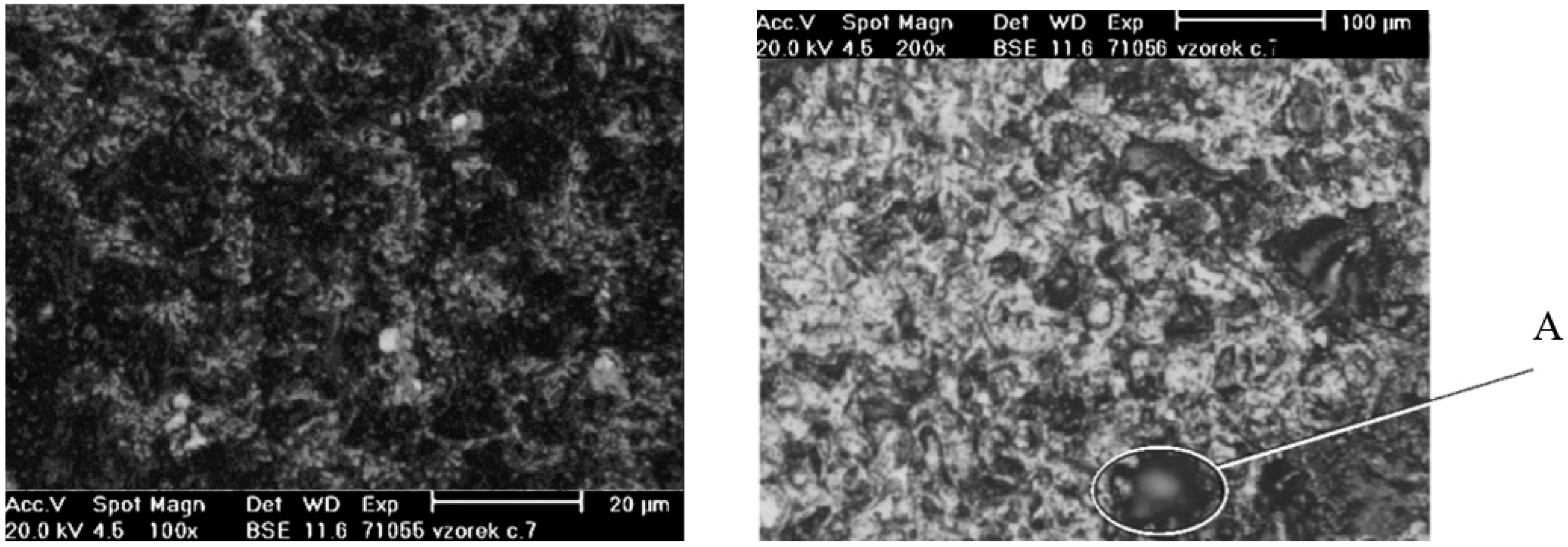 Coatings 13 00586 g009