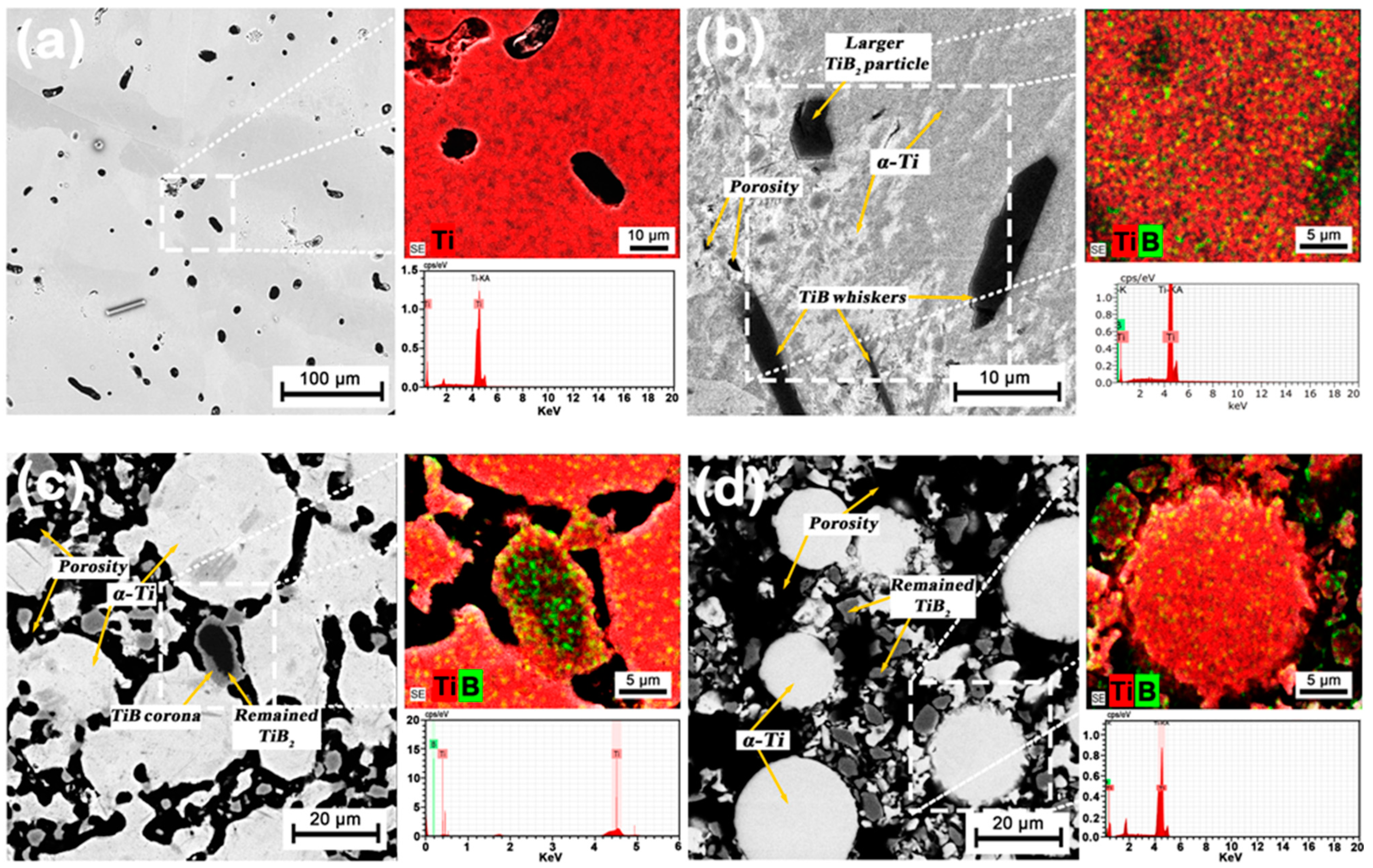 Coatings 13 00587 g005 Coatings 13 00587 g005
