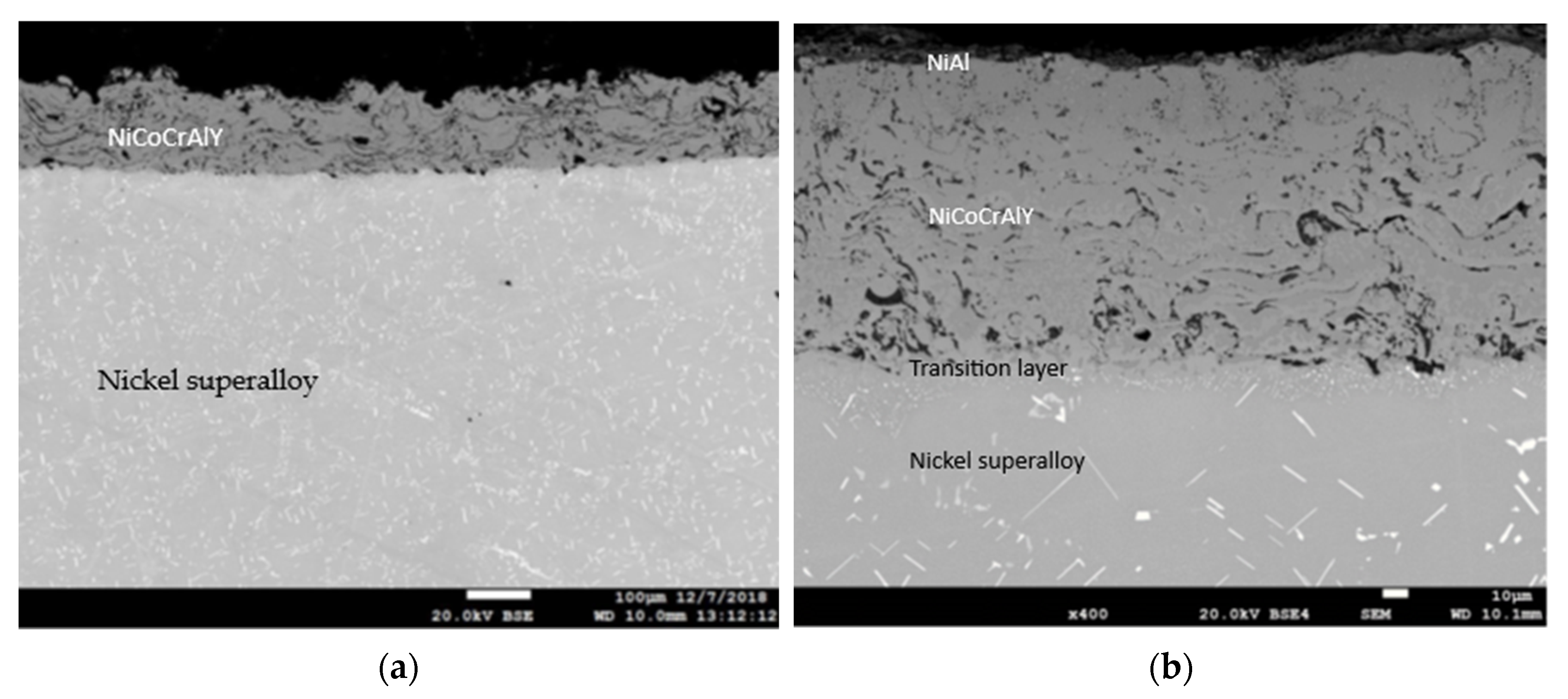 Coatings 13 00588 g004a
