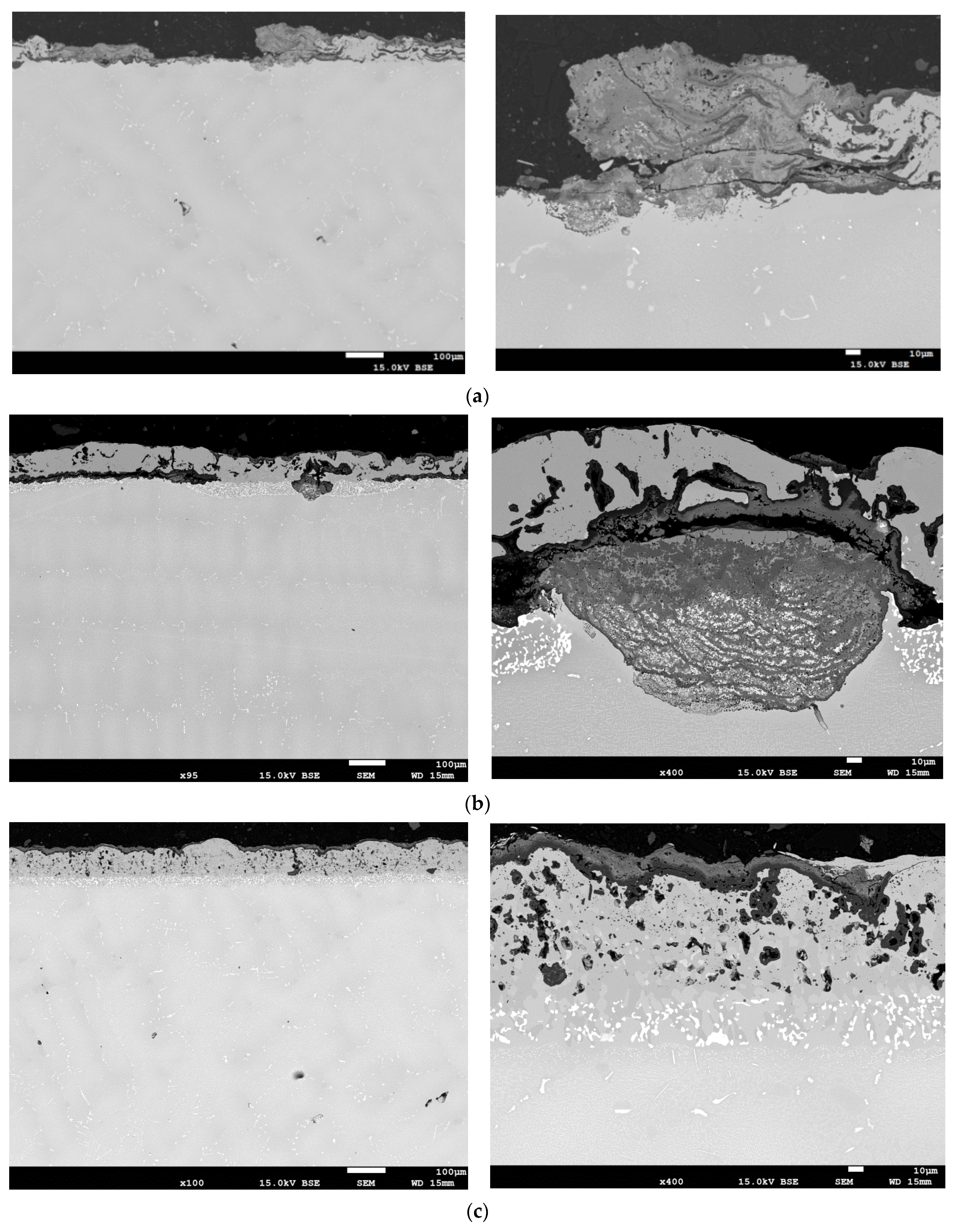 Coatings 13 00588 g015a