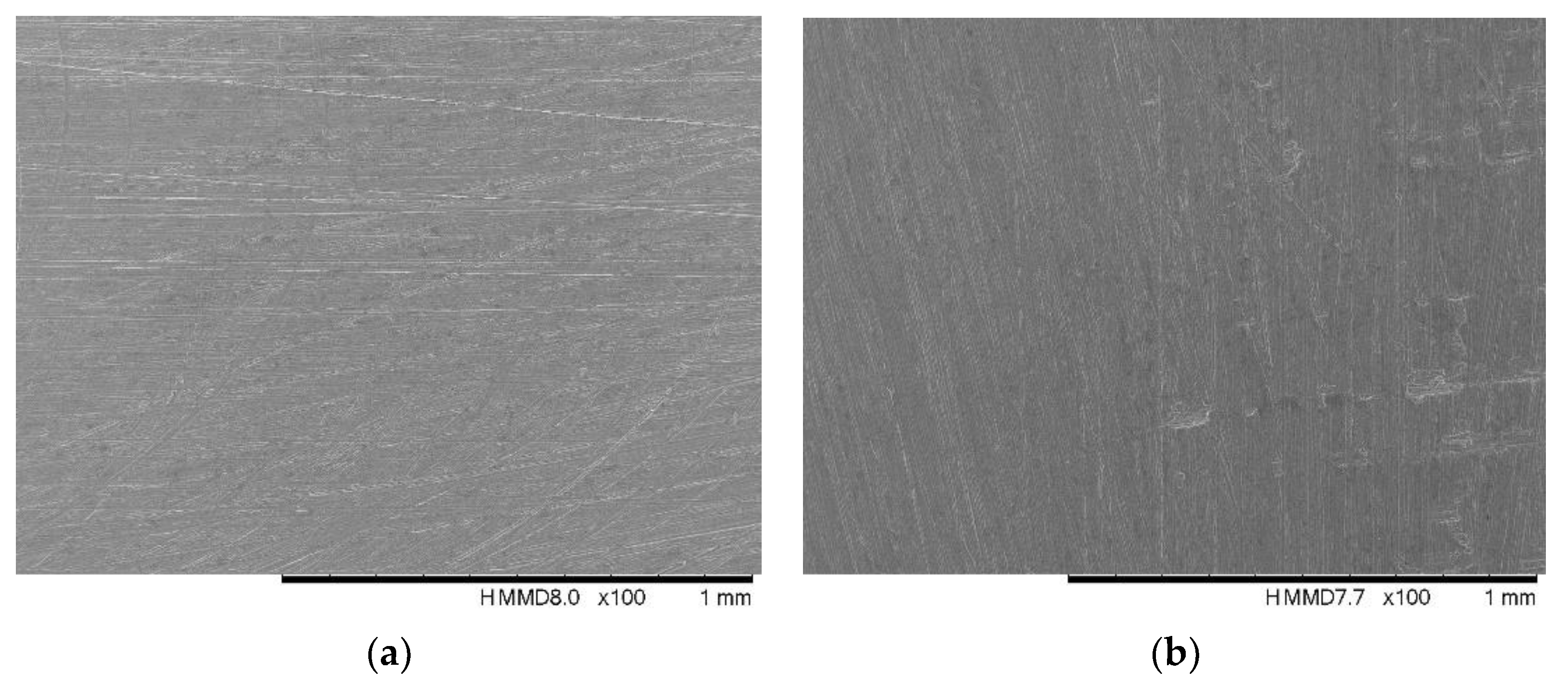 Coatings 13 00591 g003 Coatings 13 00591 g003