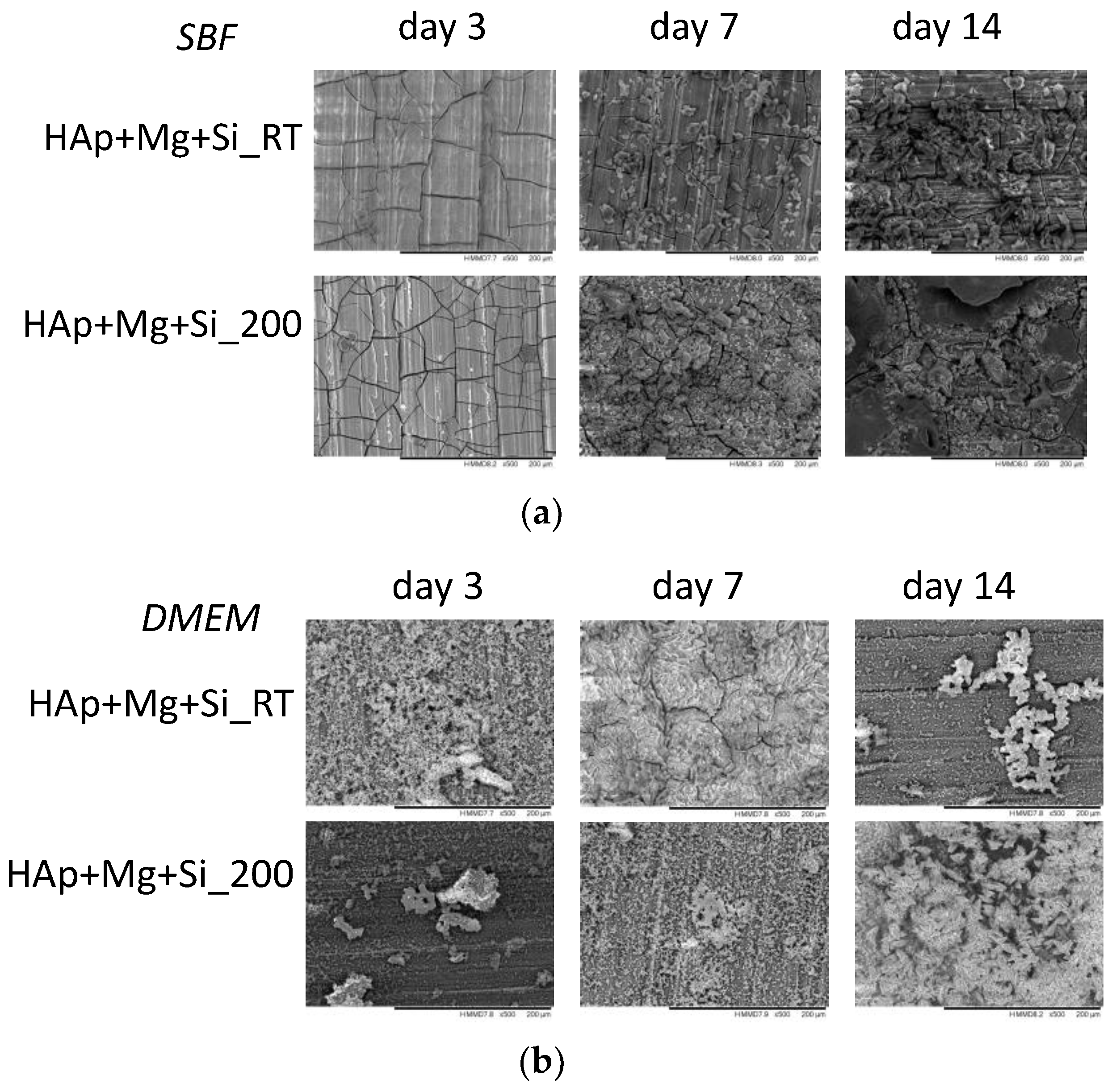 Coatings 13 00591 g009 Coatings 13 00591 g009