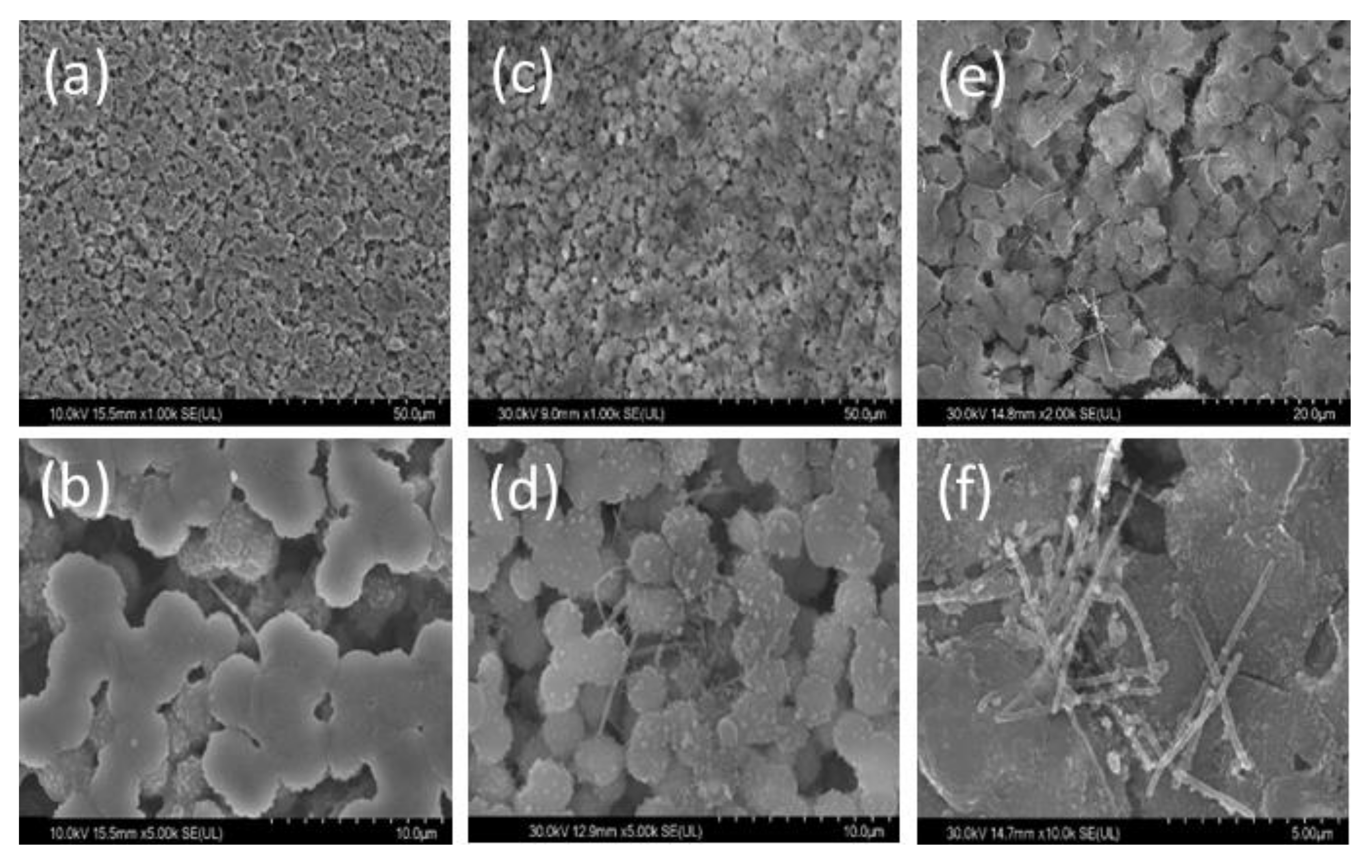 Coatings 13 00594 g004 Coatings 13 00594 g004