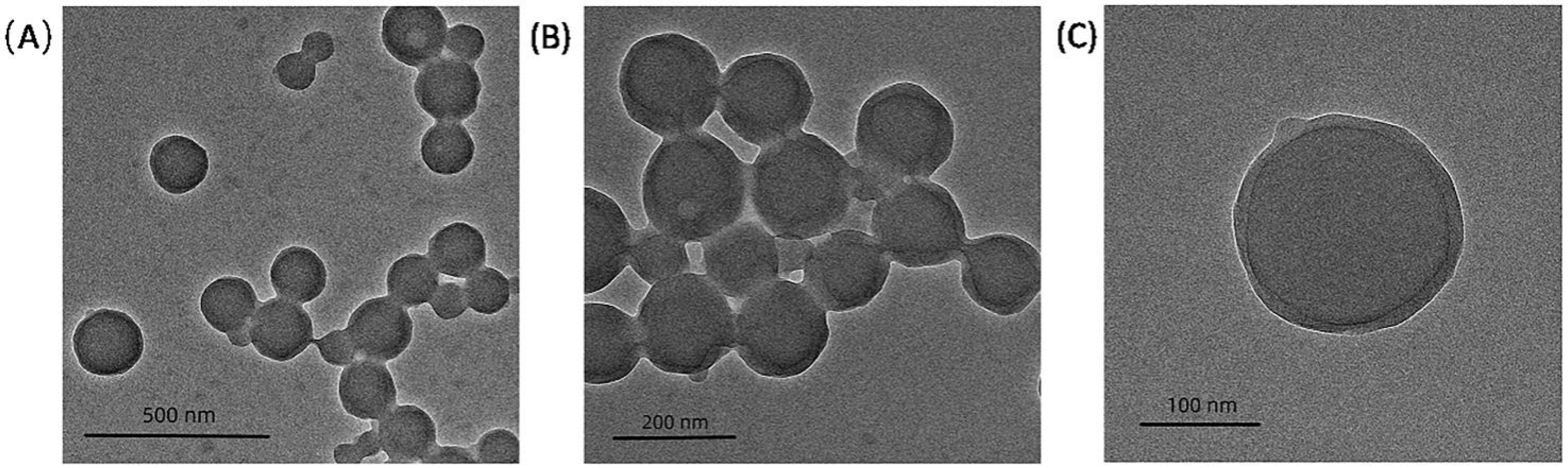 Coatings 13 00595 g012