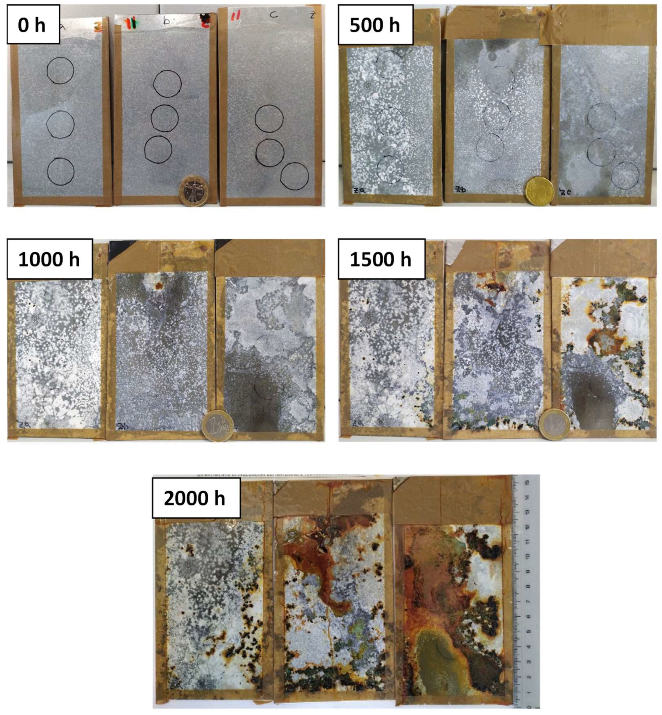 Coatings 13 00598 g005