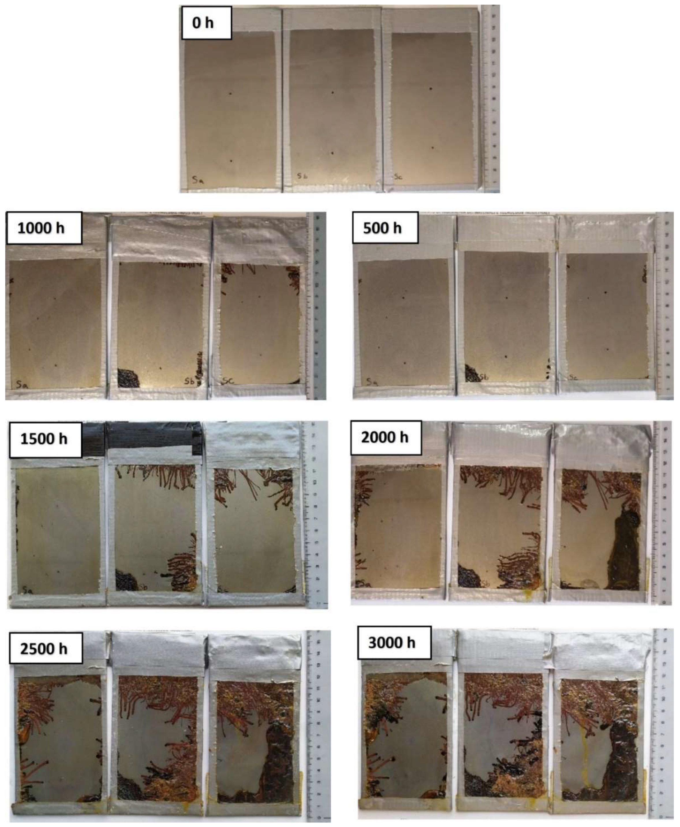 Coatings 13 00598 g009