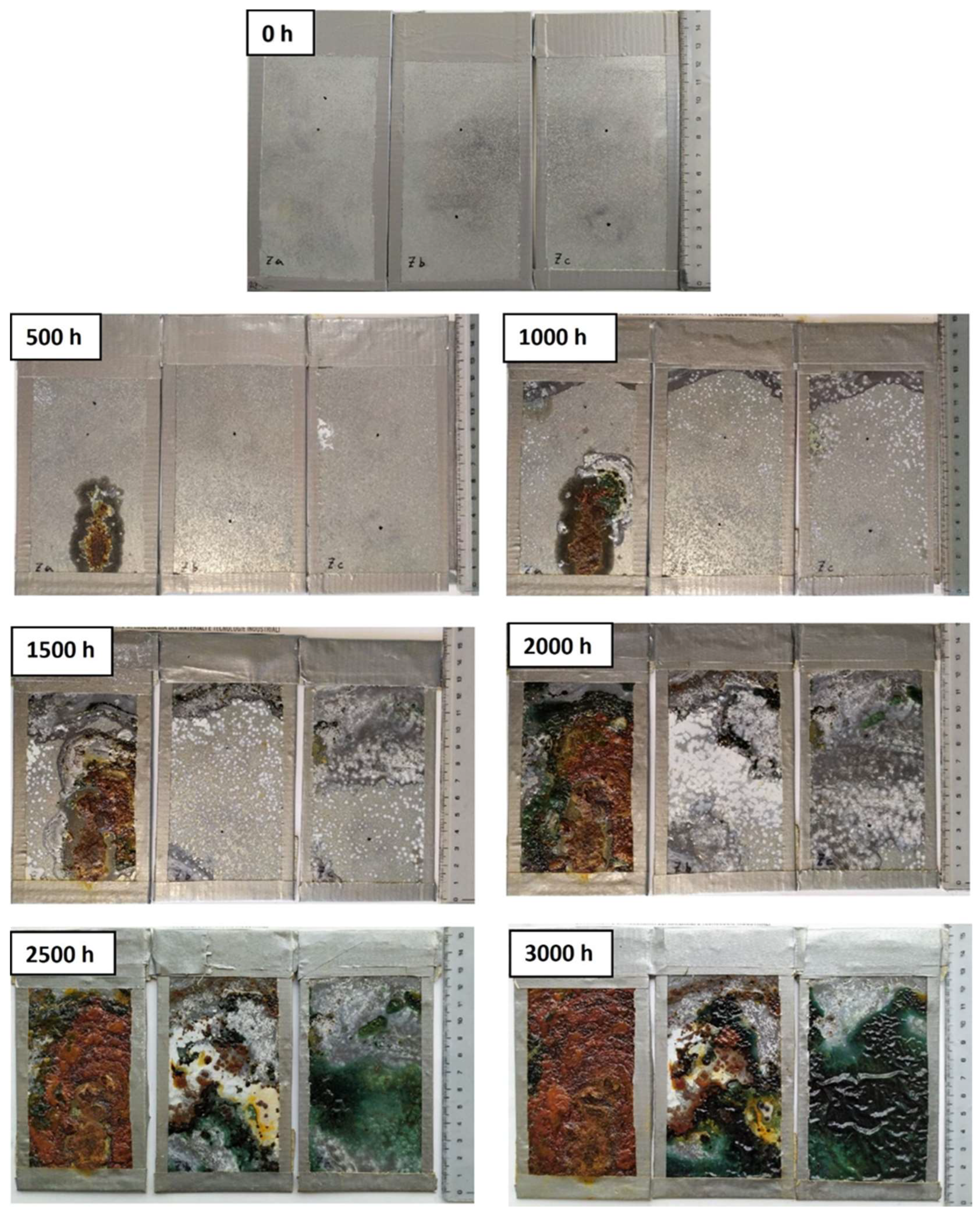 Coatings 13 00598 g010