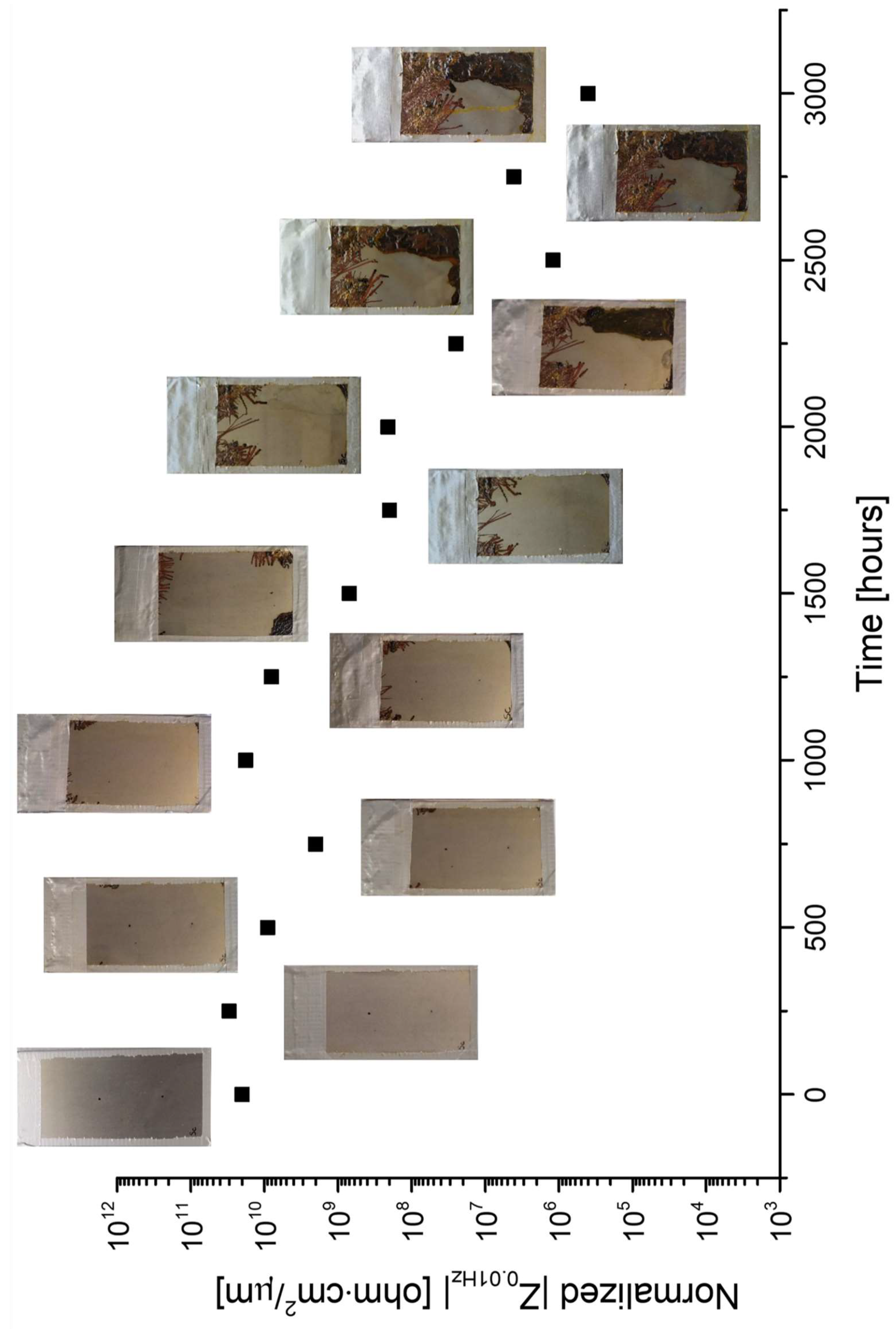 Coatings 13 00598 g012
