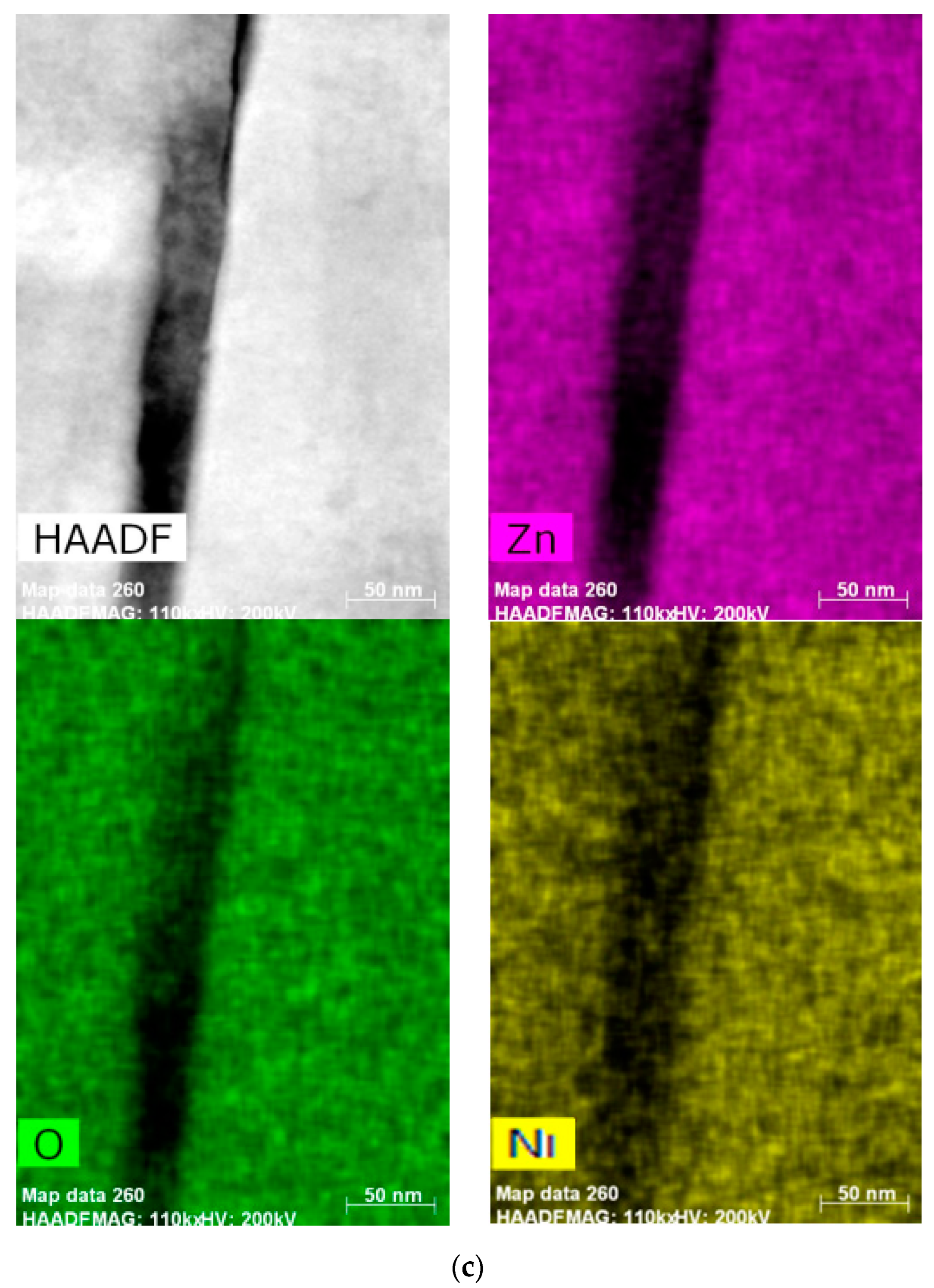 Coatings 13 00601 g003b