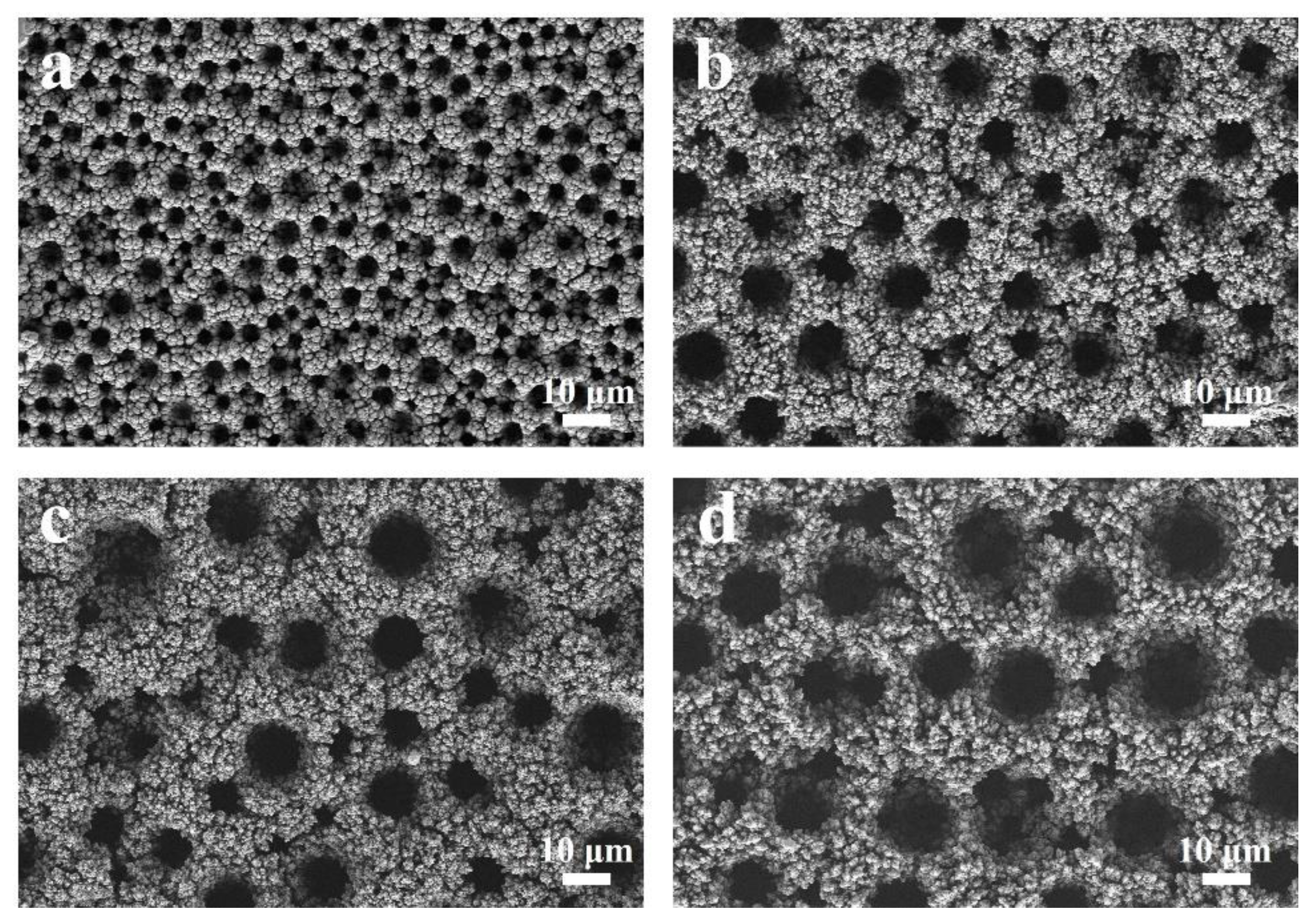 Coatings 13 00603 g001