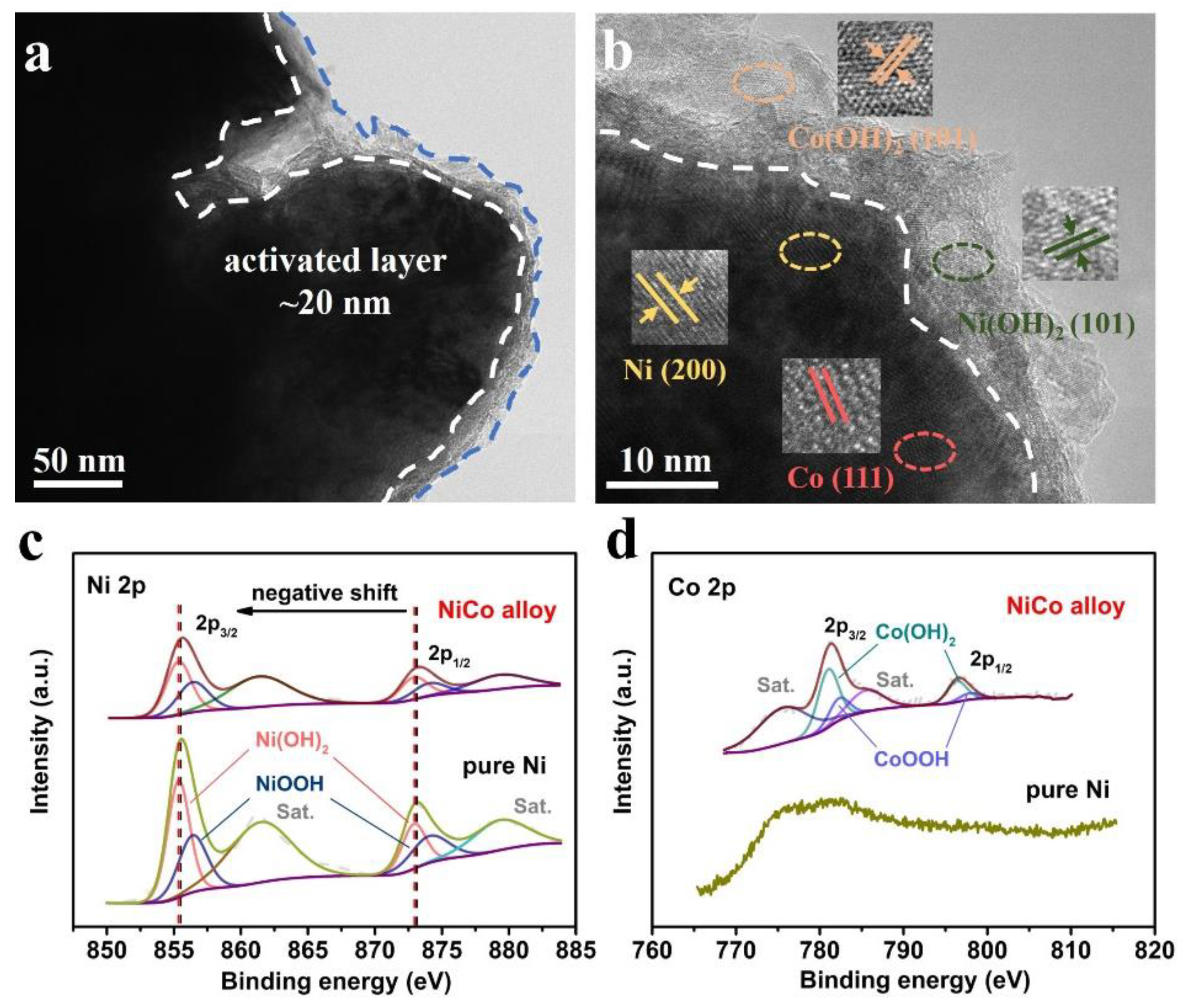 Coatings 13 00603 g002