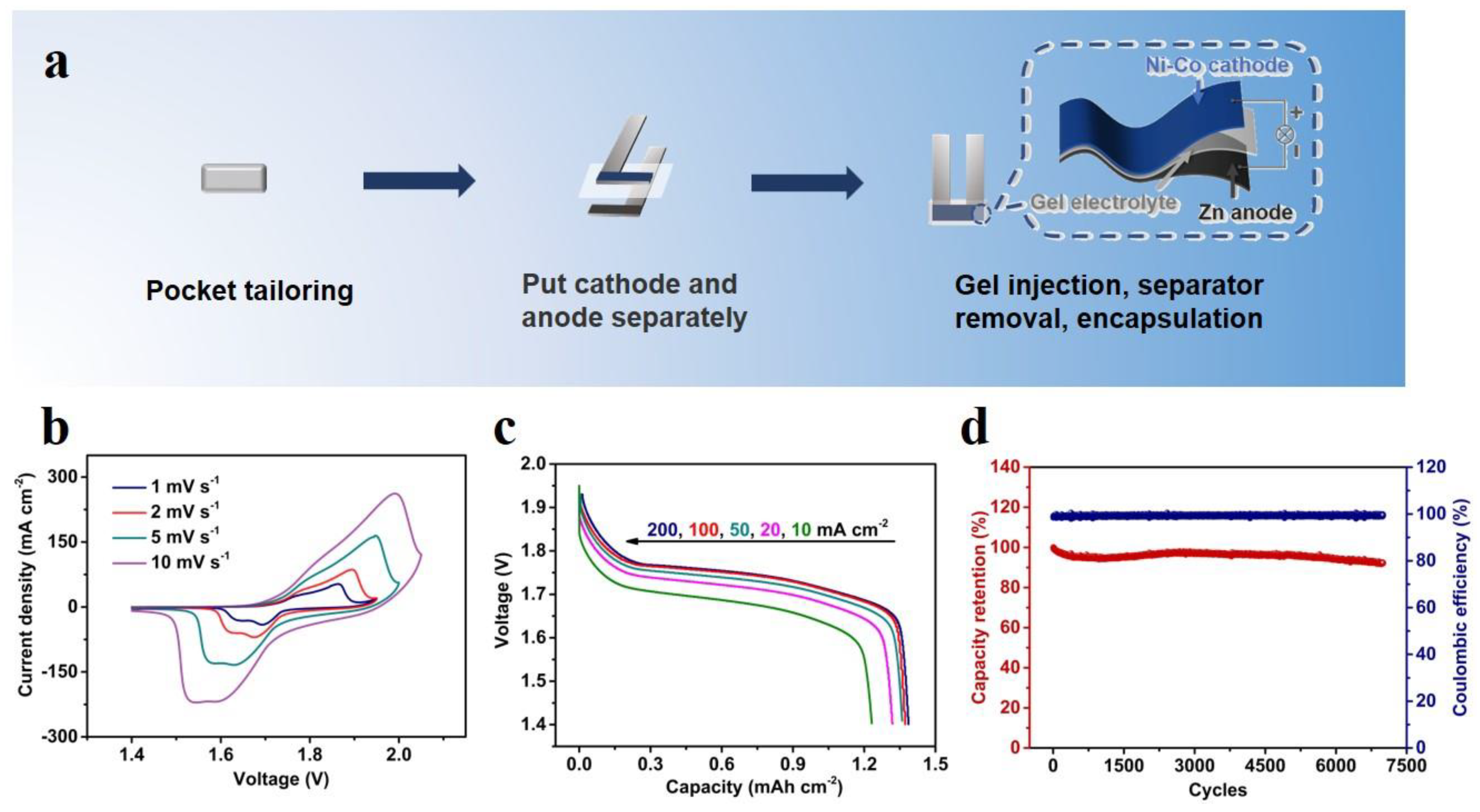 Coatings 13 00603 g004