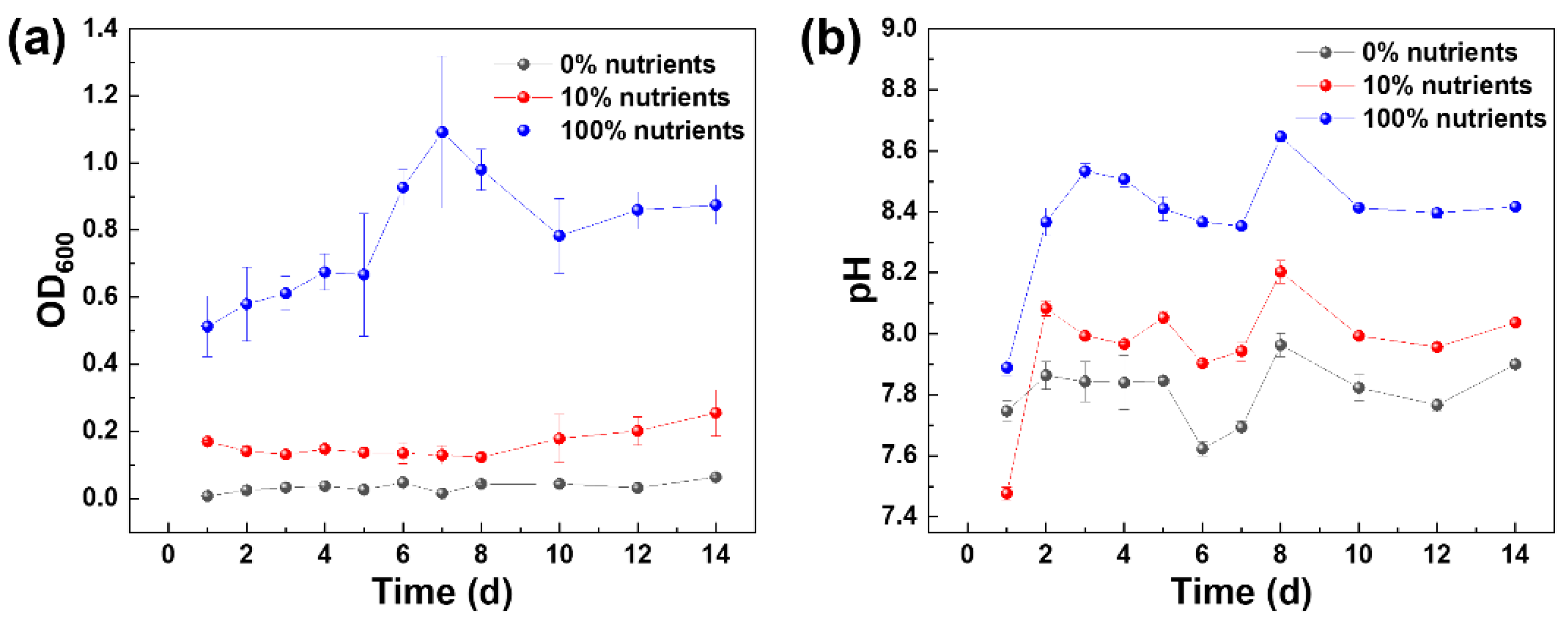 Coatings 13 00606 g001