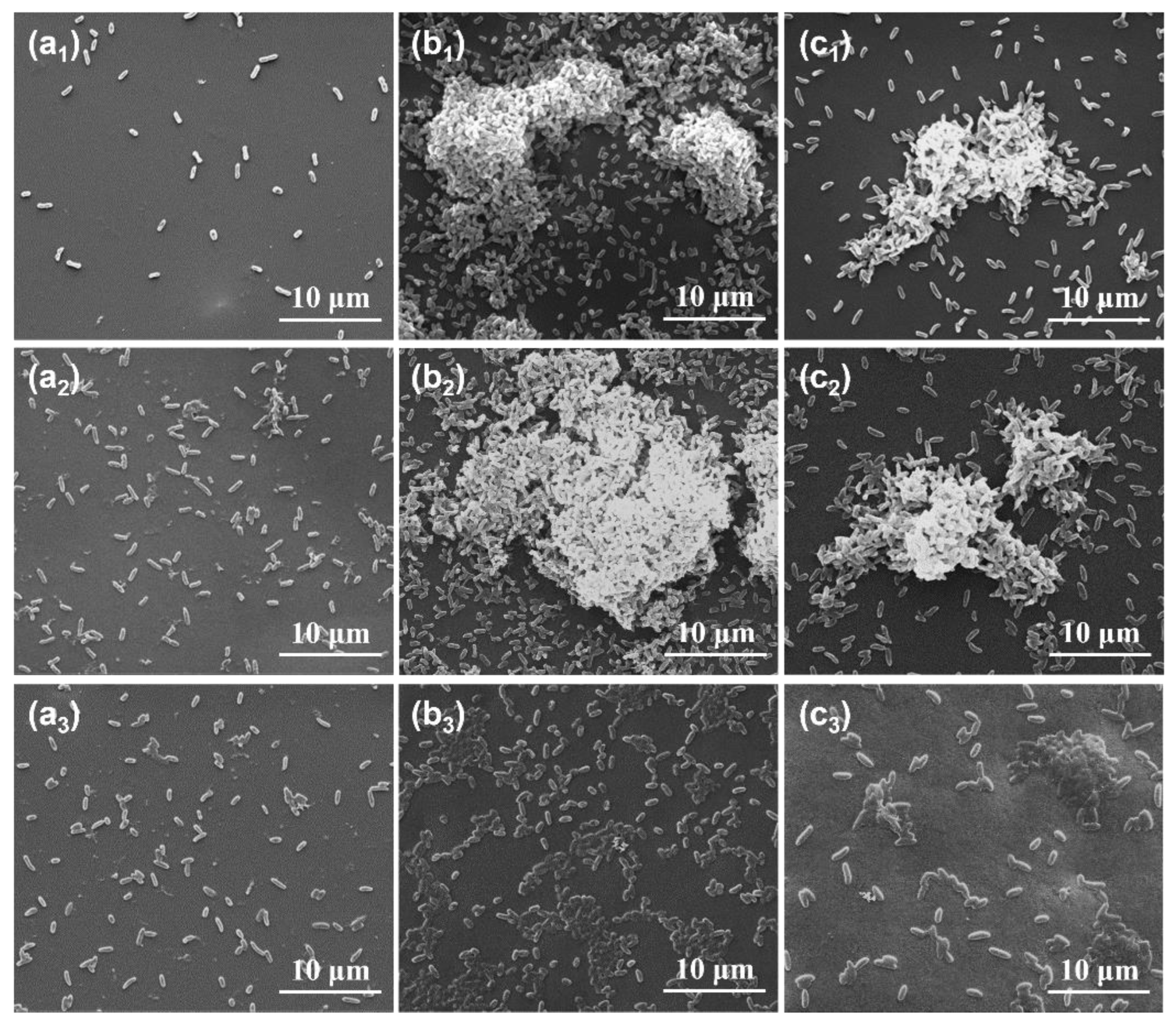 Coatings 13 00606 g002