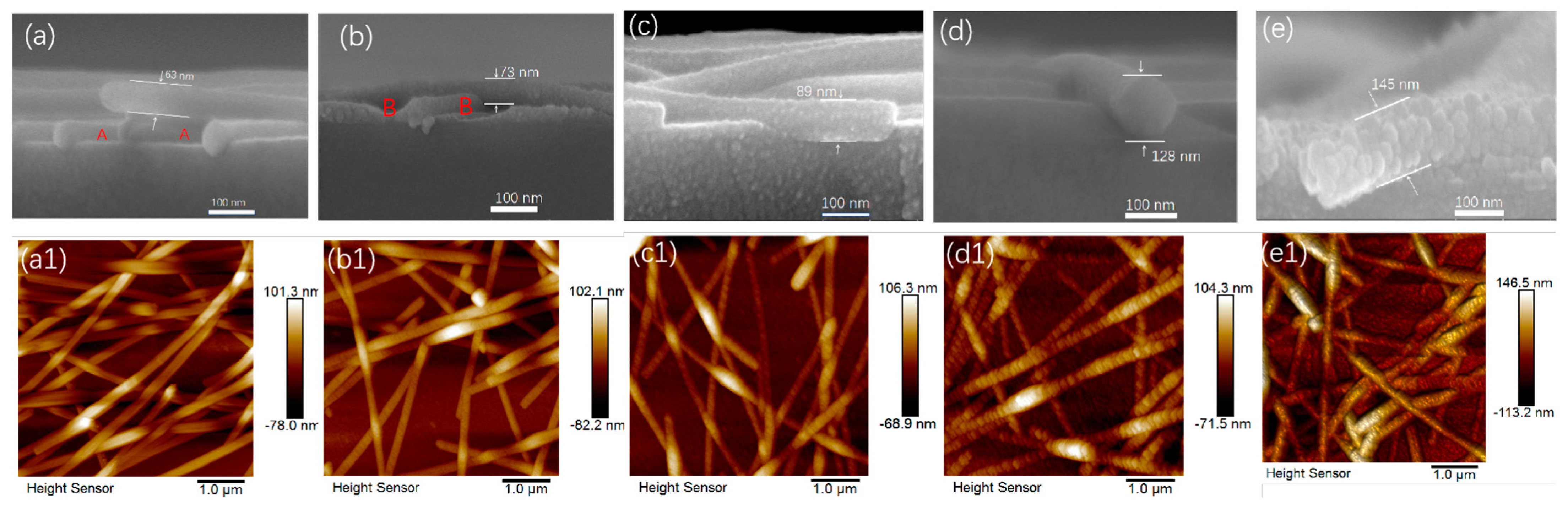 Coatings 13 00607 g002 Coatings 13 00607 g002