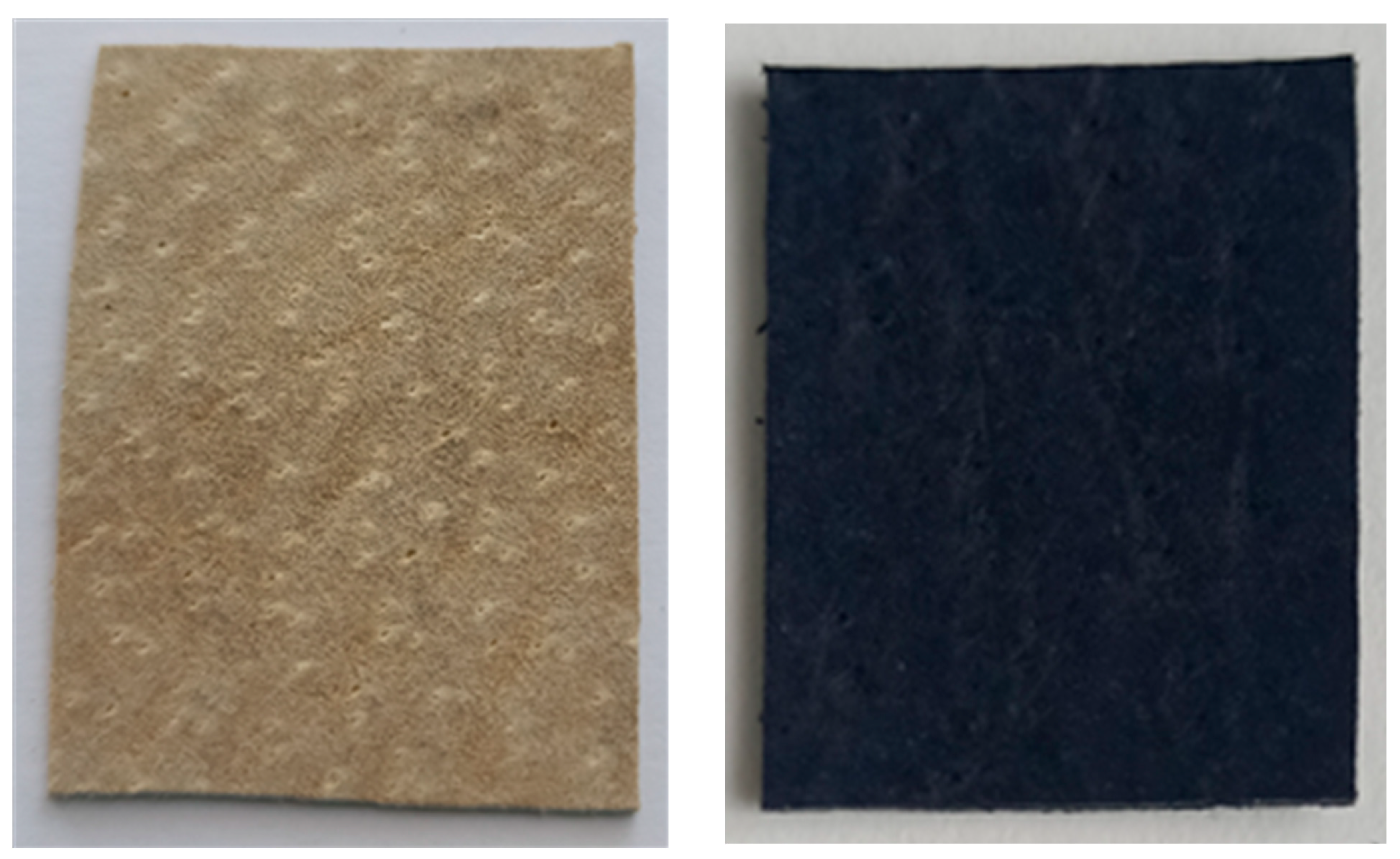 Coatings 13 00608 g003