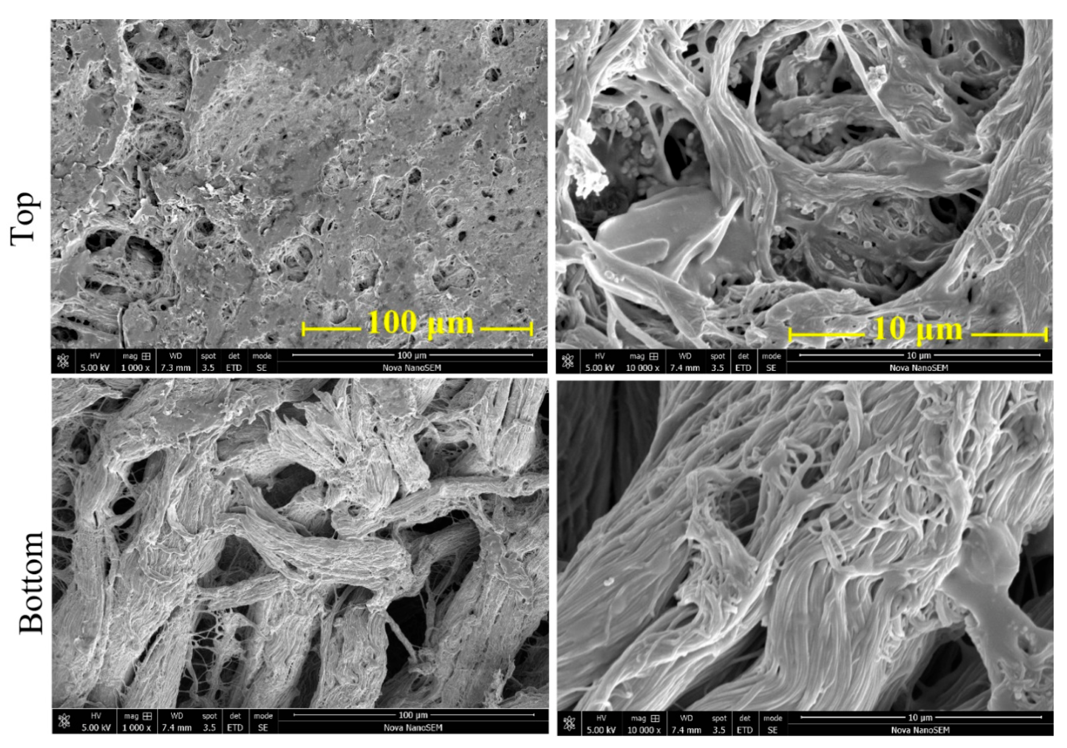 Coatings 13 00608 g004