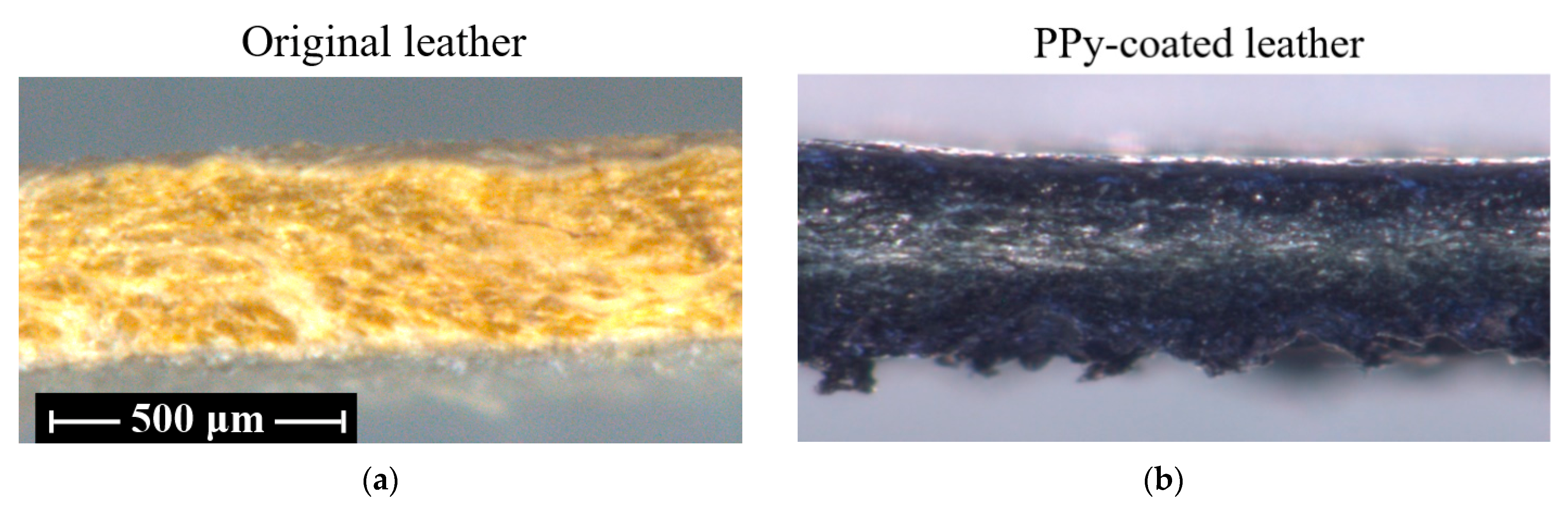 Coatings 13 00608 g005