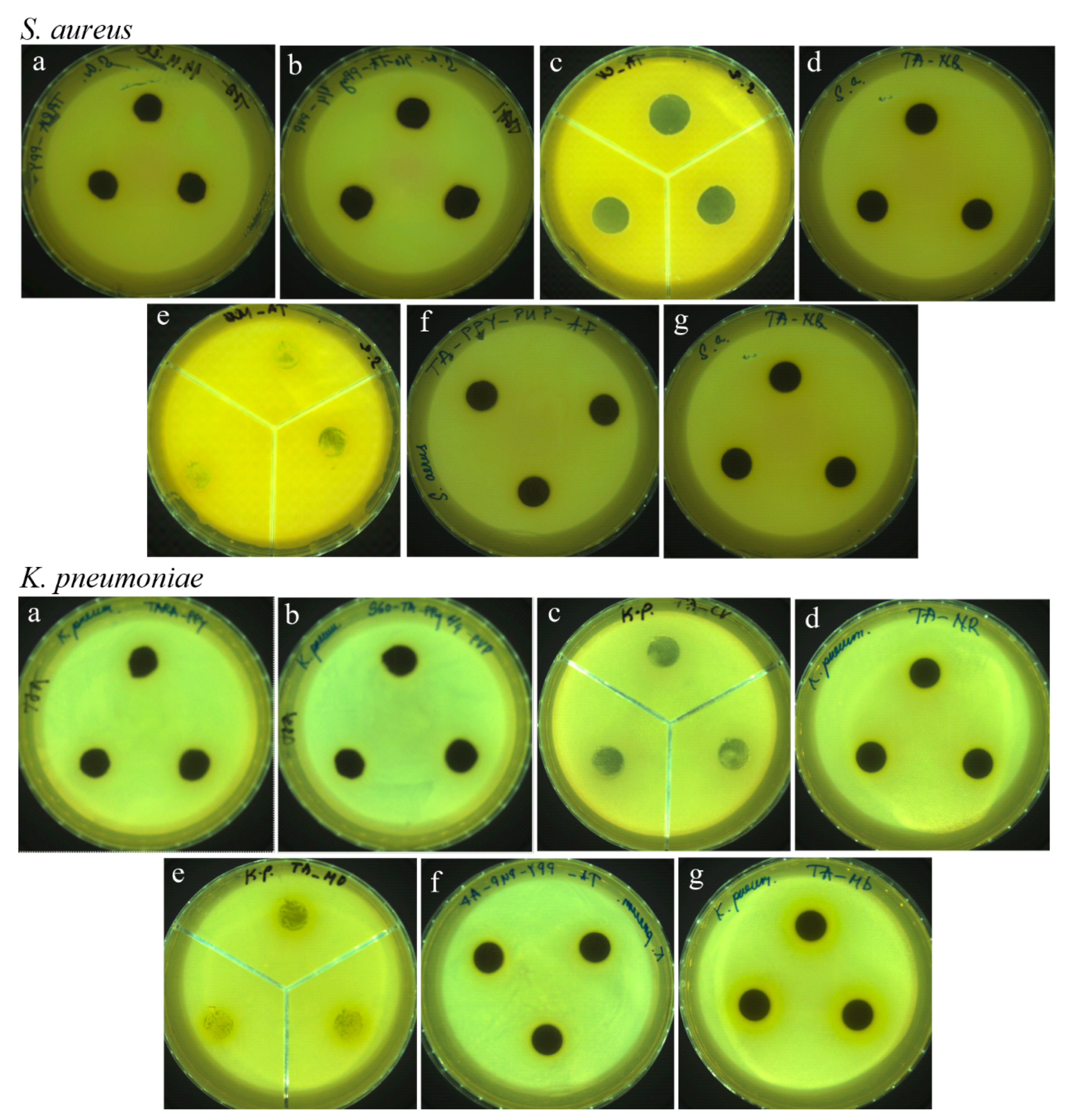 Coatings 13 00608 g006