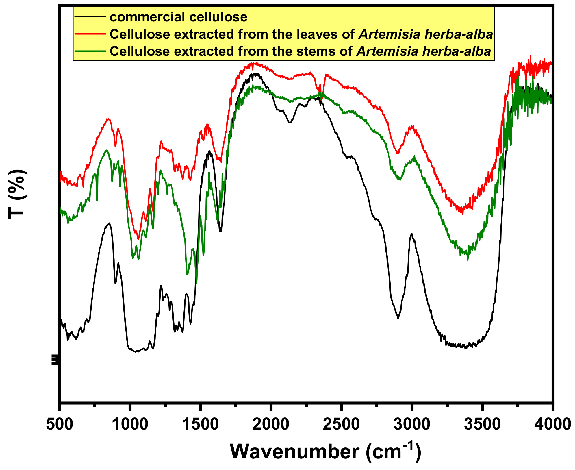 Coatings 13 00611 g001