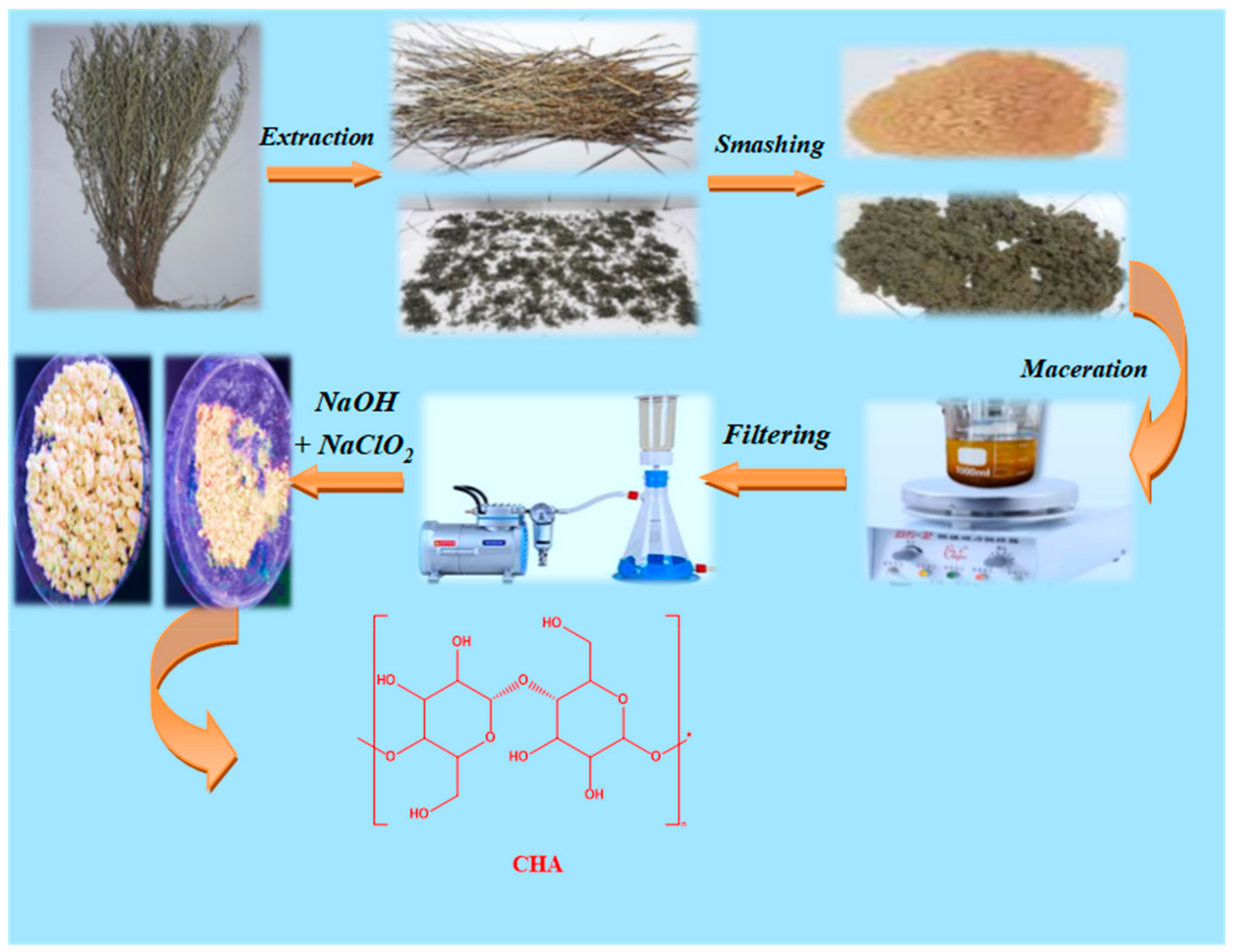 Coatings 13 00611 sch001