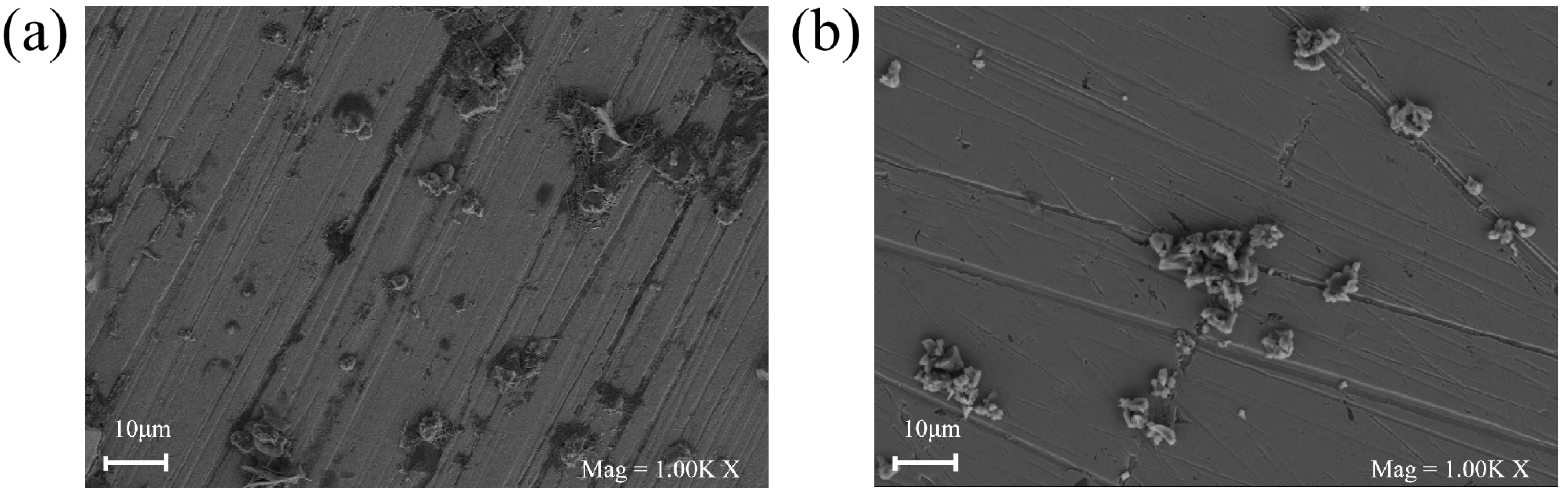 Coatings 13 00613 g008